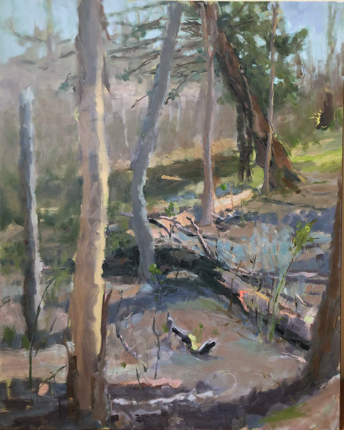 Fallen Trees, Early Spring, 20x16", oil on panel, 2021, Sold