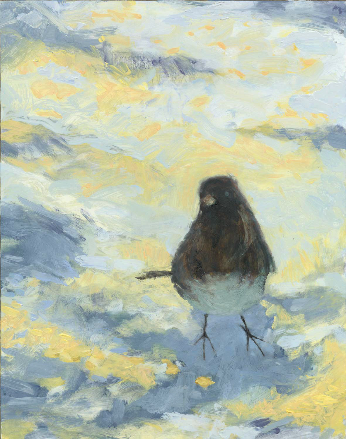Big Junco, oil on panel, 11x14", 2018