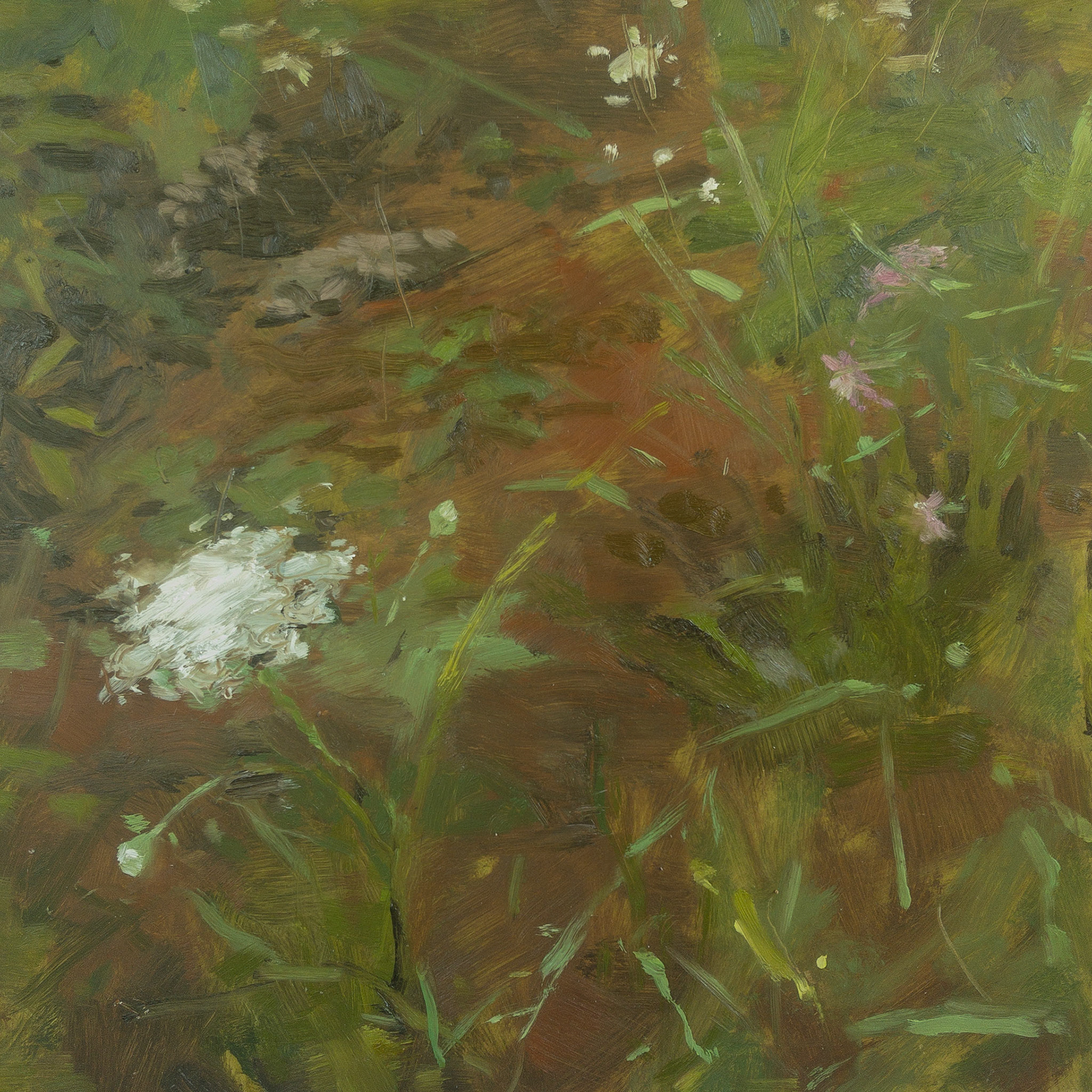 Queen Anne's Lace, 2021, oil on panel, 12x12