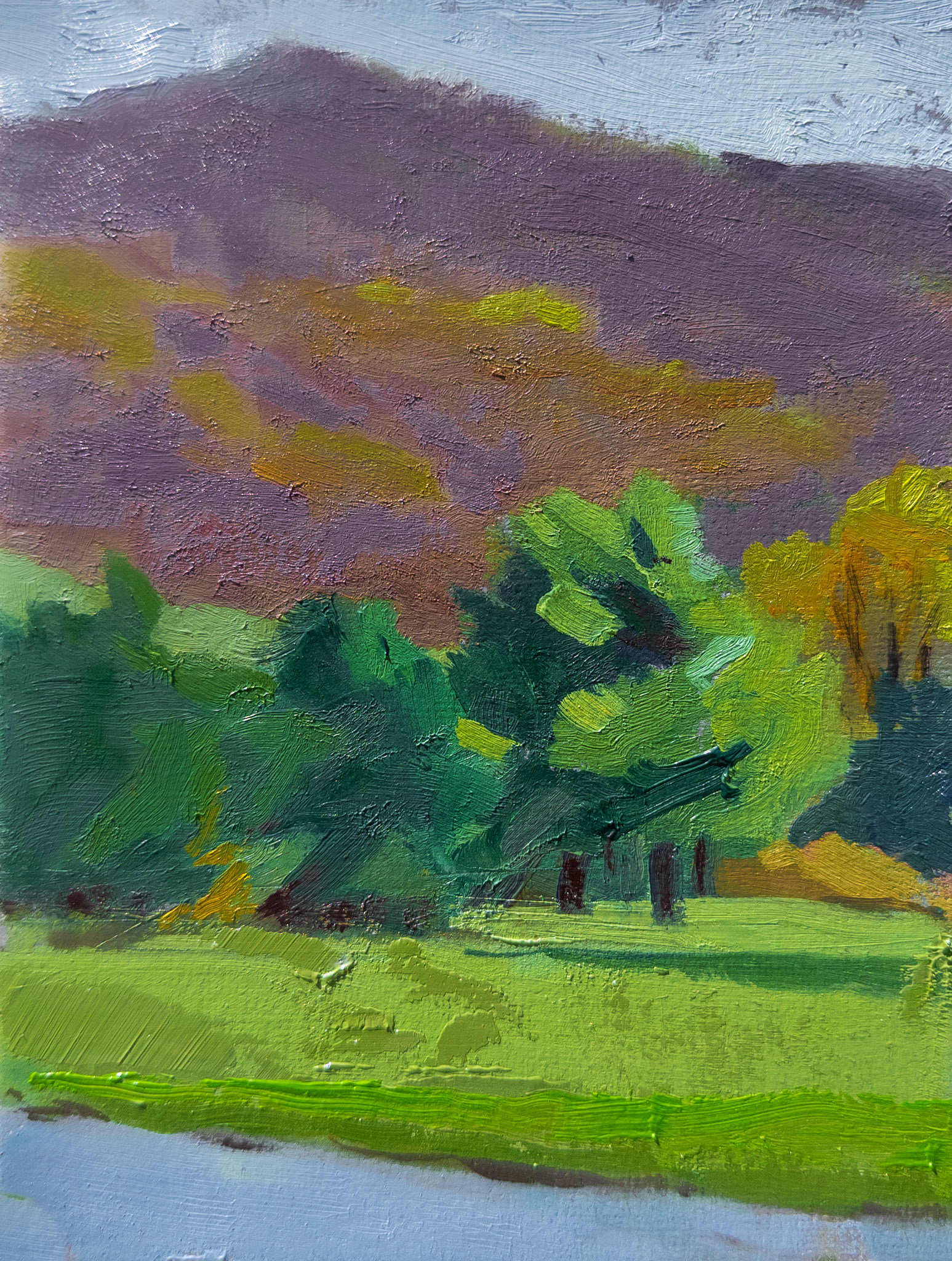Plein Air Early Spring, oil on prepared paper,  8x6 inches, 2026