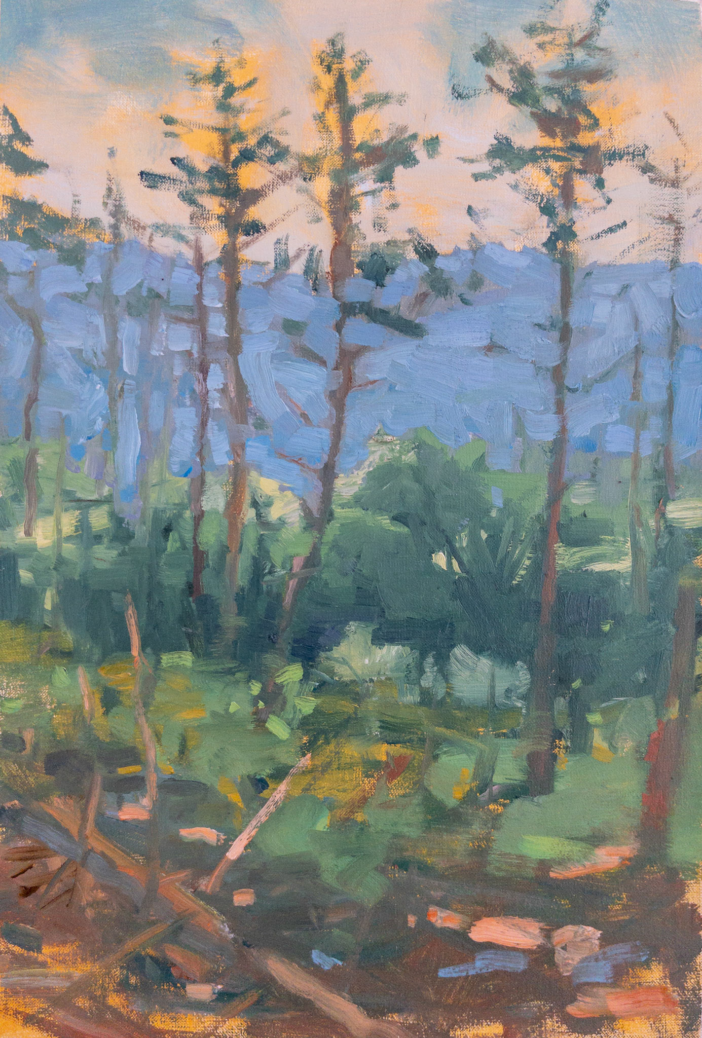 SOLD Manitoga, Early Summer, 13x9", oil on linen, 2022
