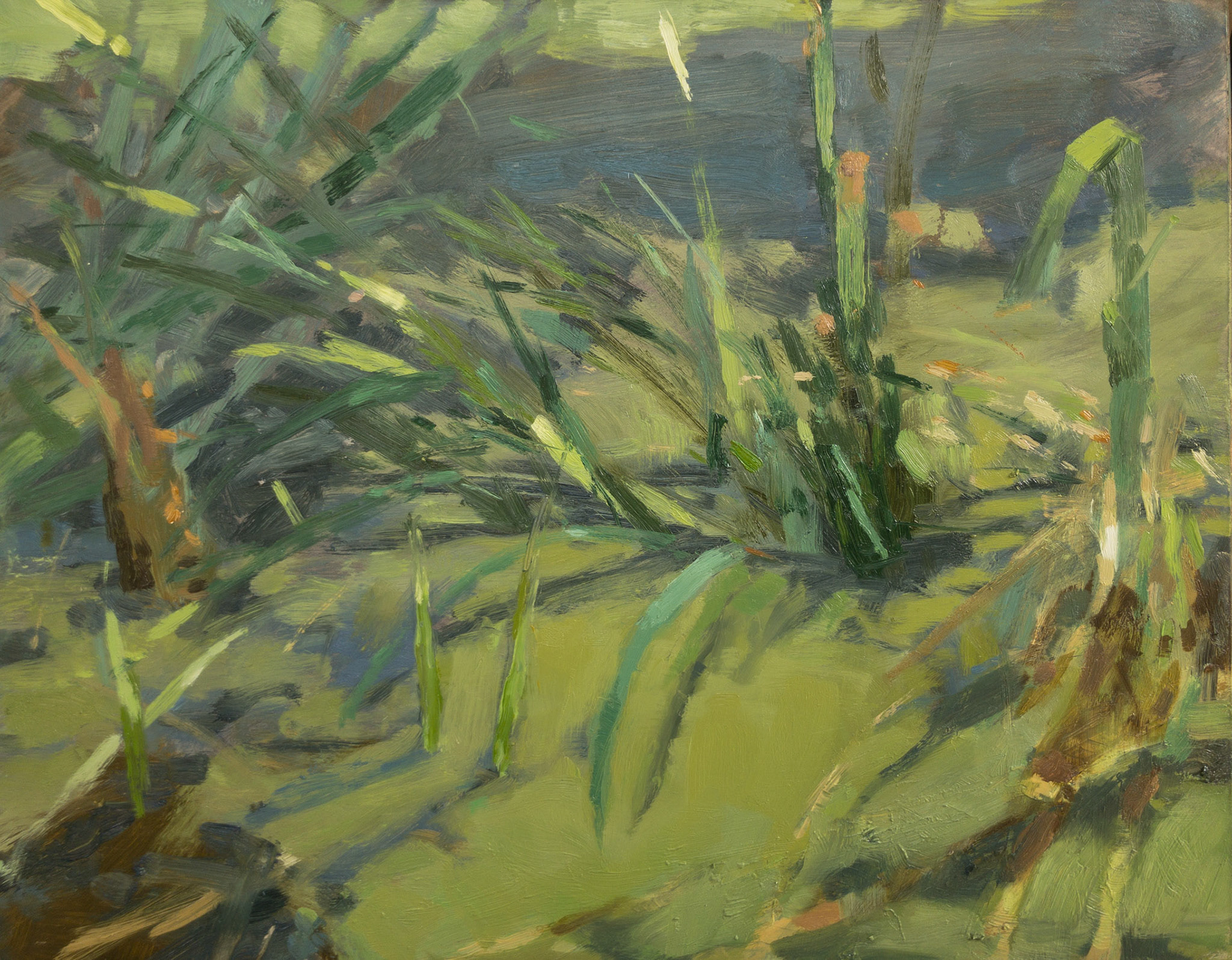 Pond Reeds, 2021, oil on panel, 14x11"