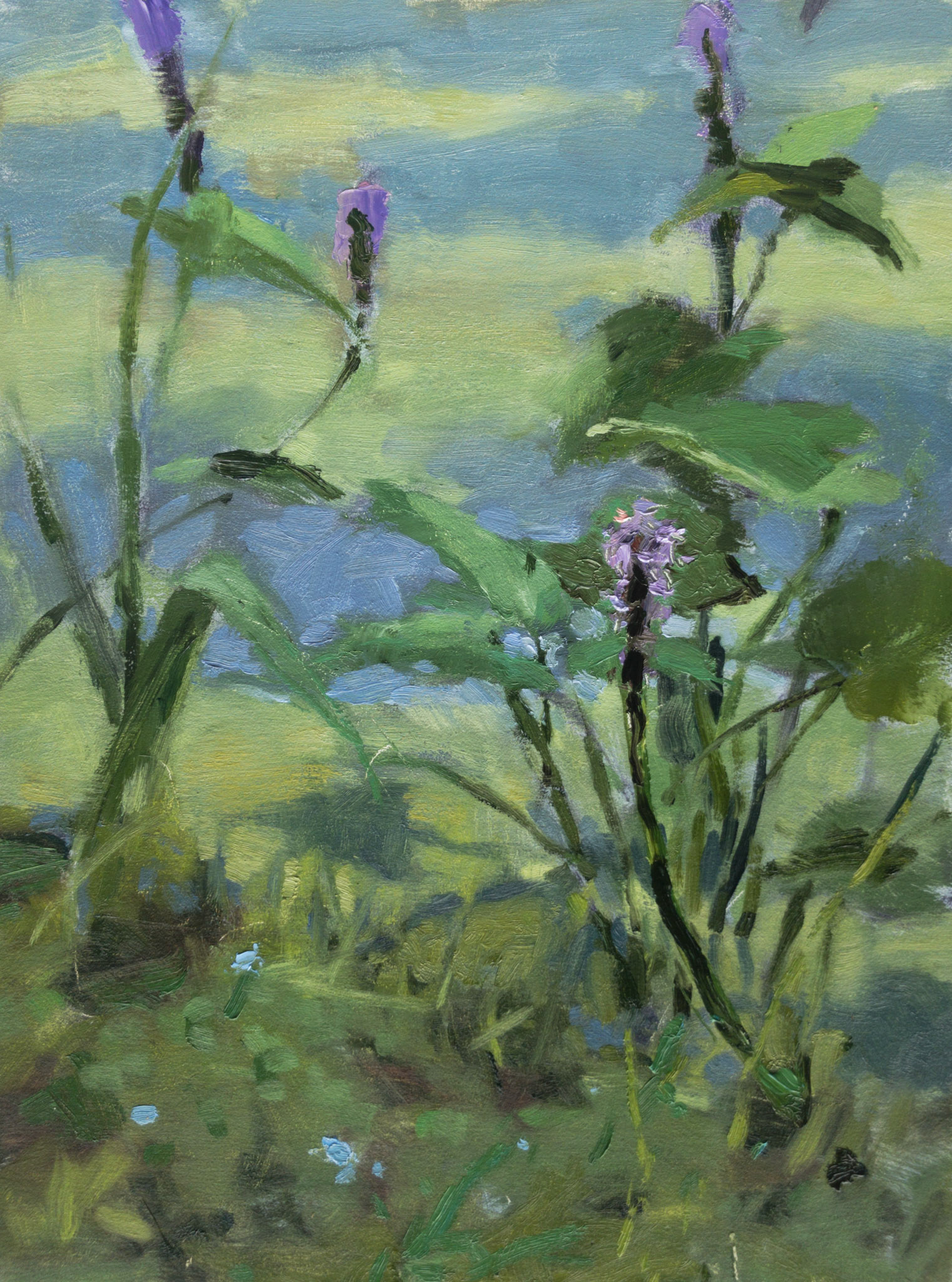Pond Flowers, 2021, oil on panel, 12x16",