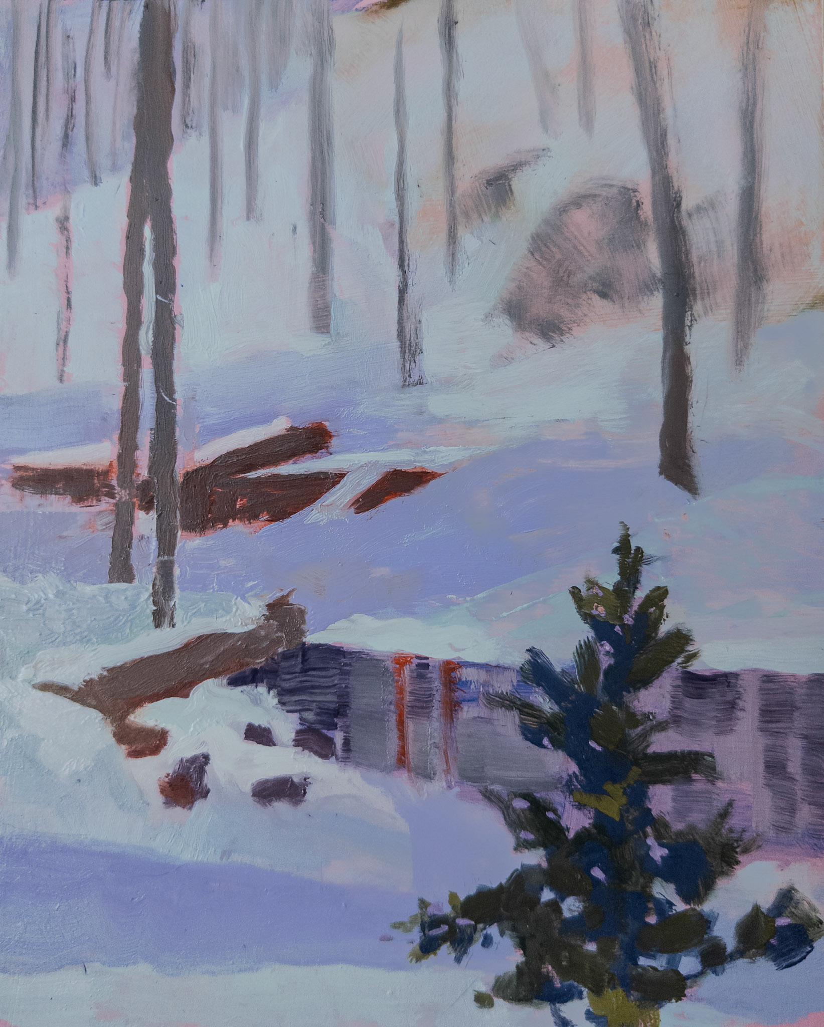 Snow Color II, 8x10 inches, oil on ACM, 2026 