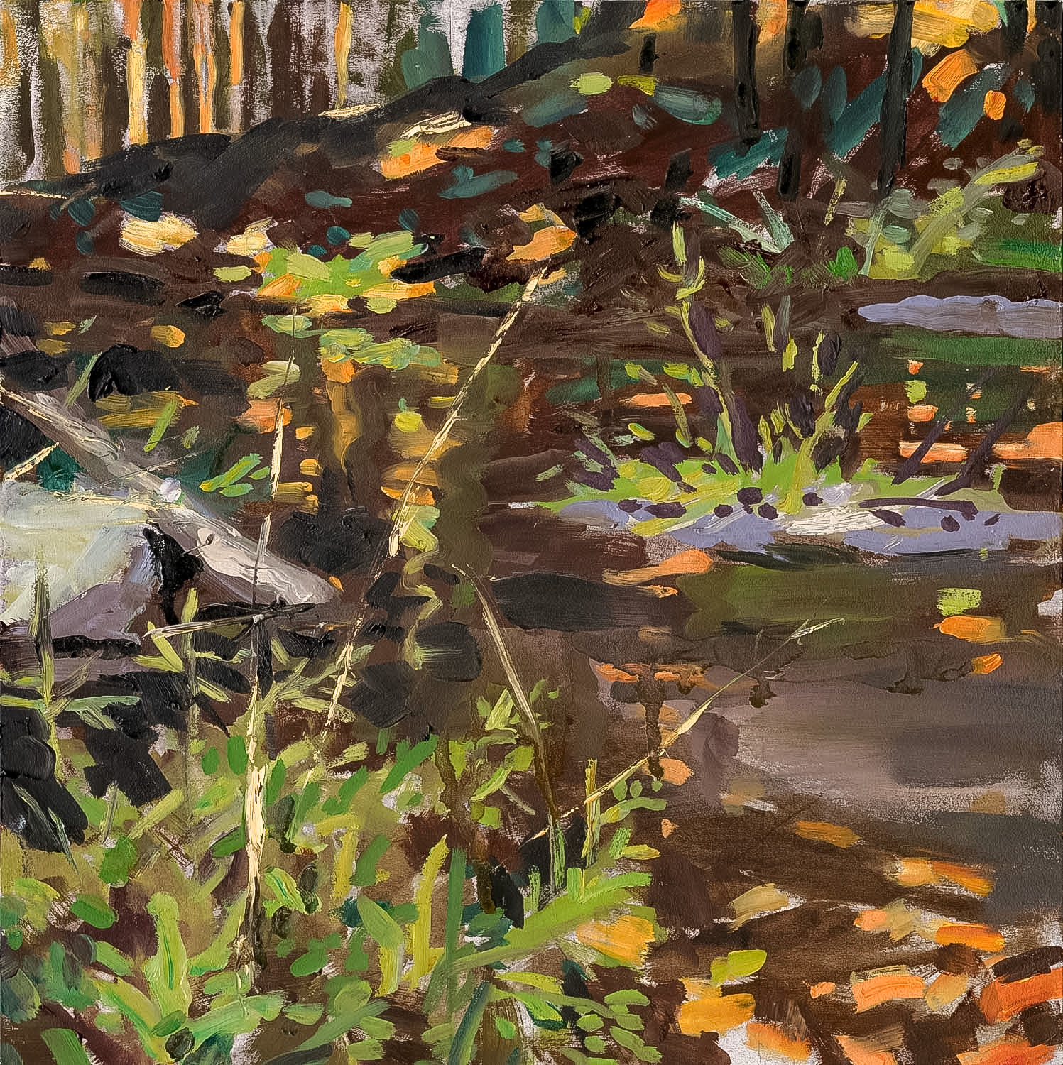 Duck Cove III, 2019, oil on panel, 12x12