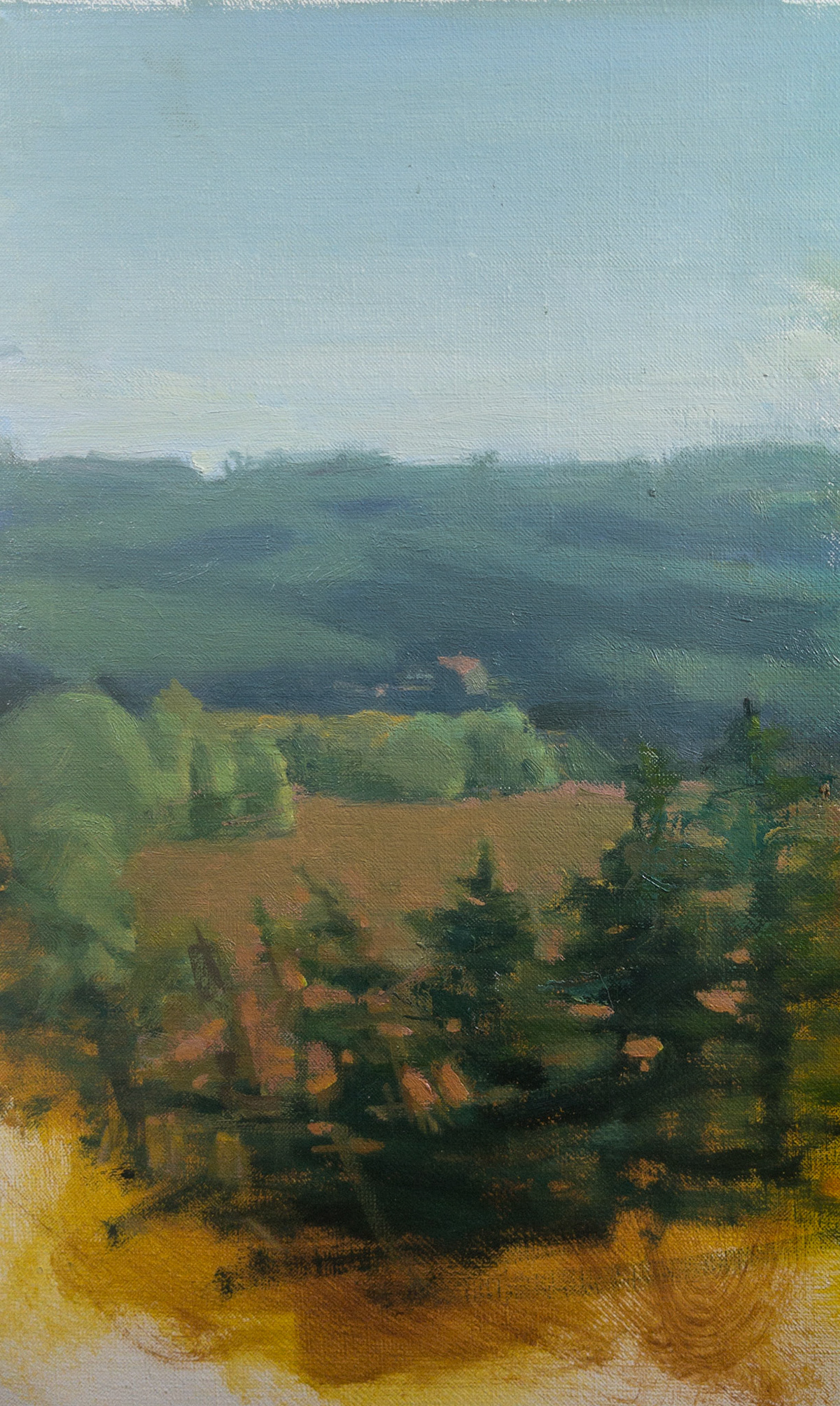 View from Chateau de Belcayre V