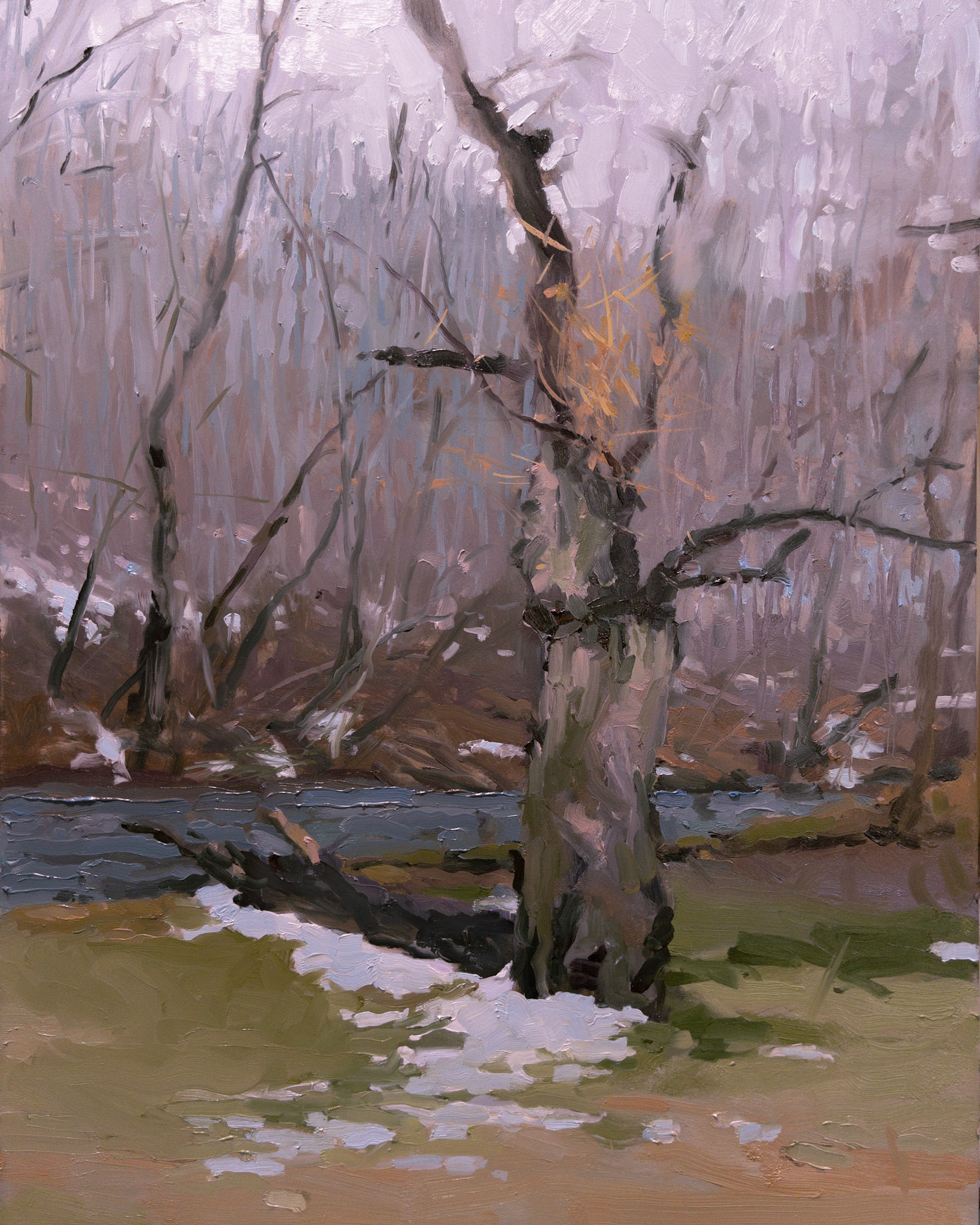 March Willow, 14x18"