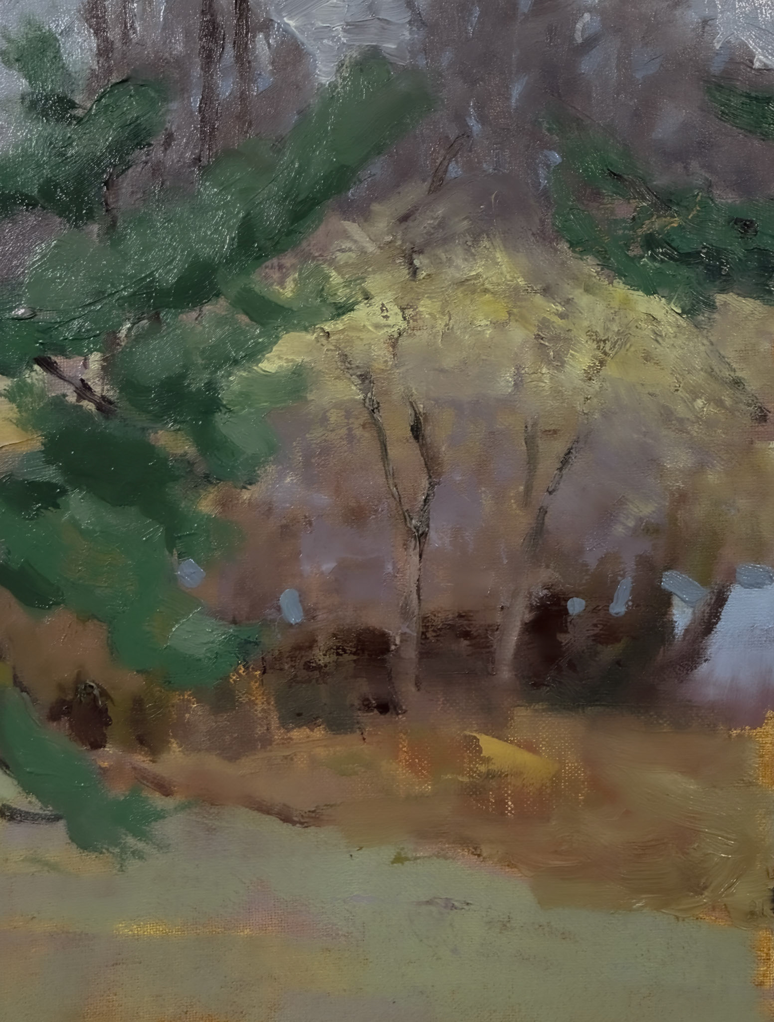 Color Memory, 8x6 inches, out on linen panel, 2026