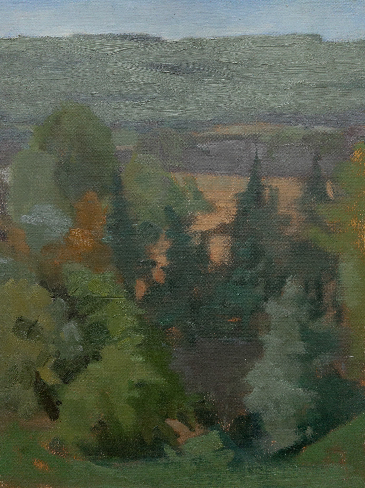 View from Chateau de Belcayre IV
