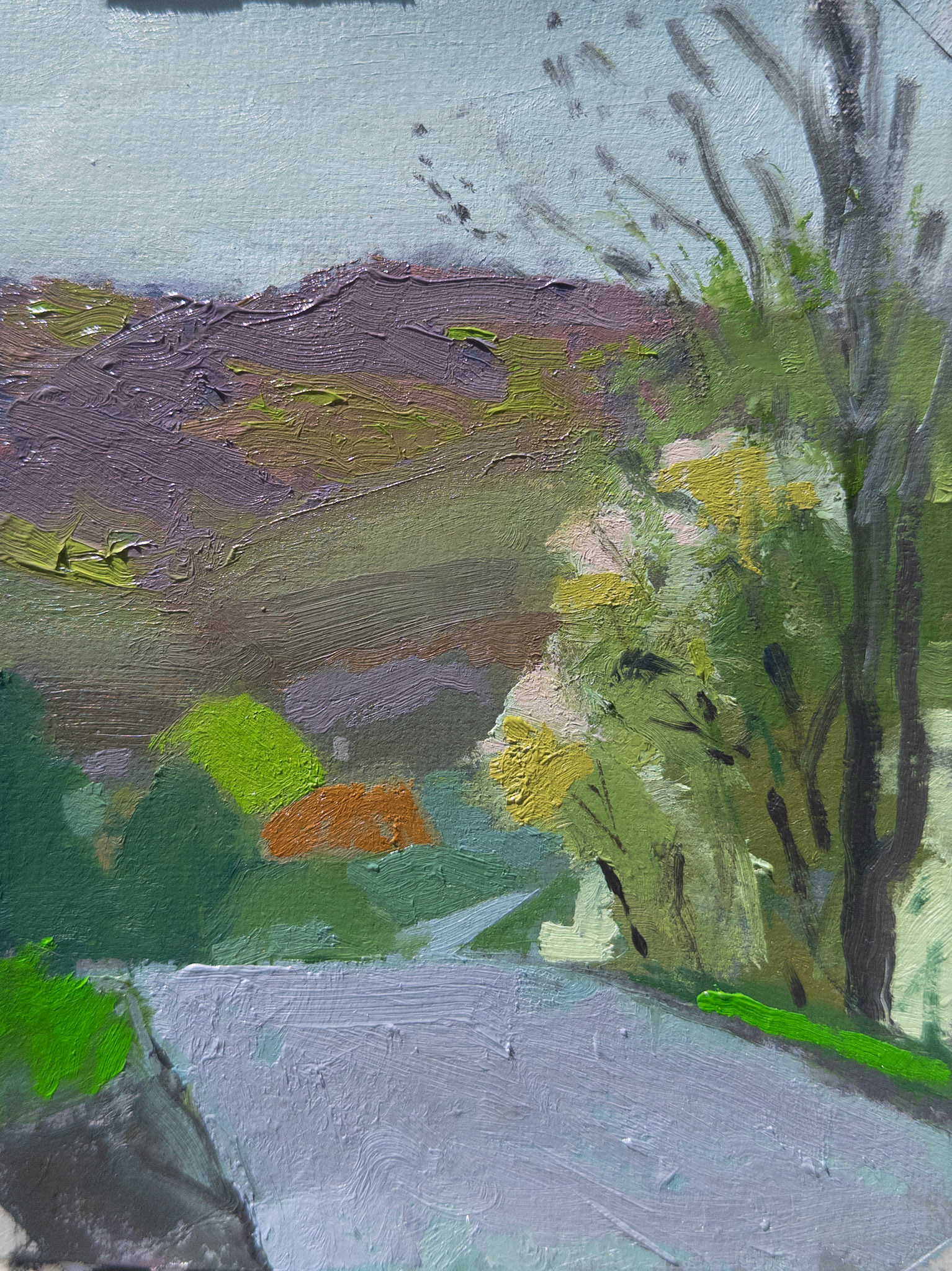 Early Plein Air Spring II, 8x6 inches, oil on prepared paper, 2026