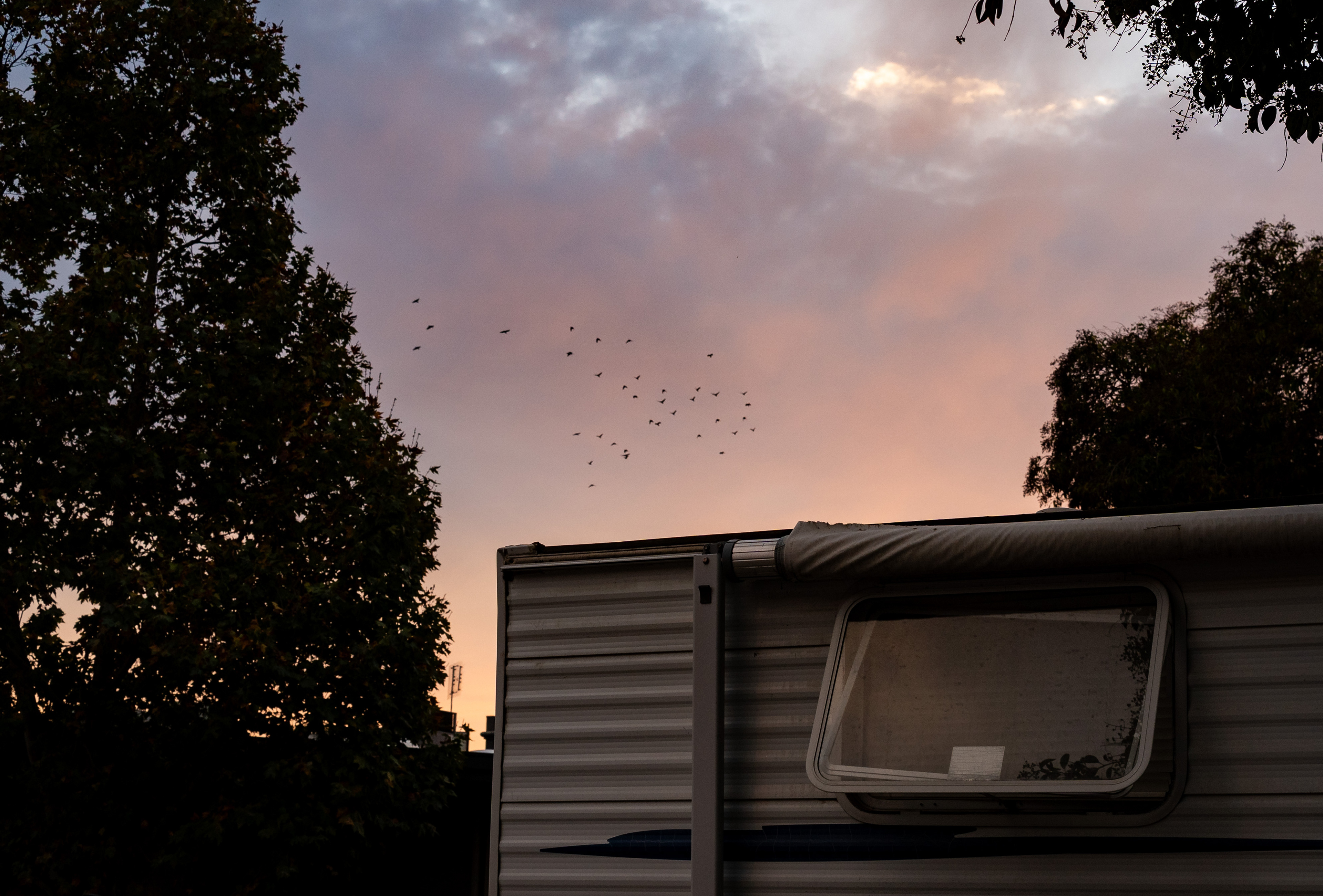 The exterior of Shane Repass's RV parked in Palo Alto on November 11, 2025. Palo Alto Weekly