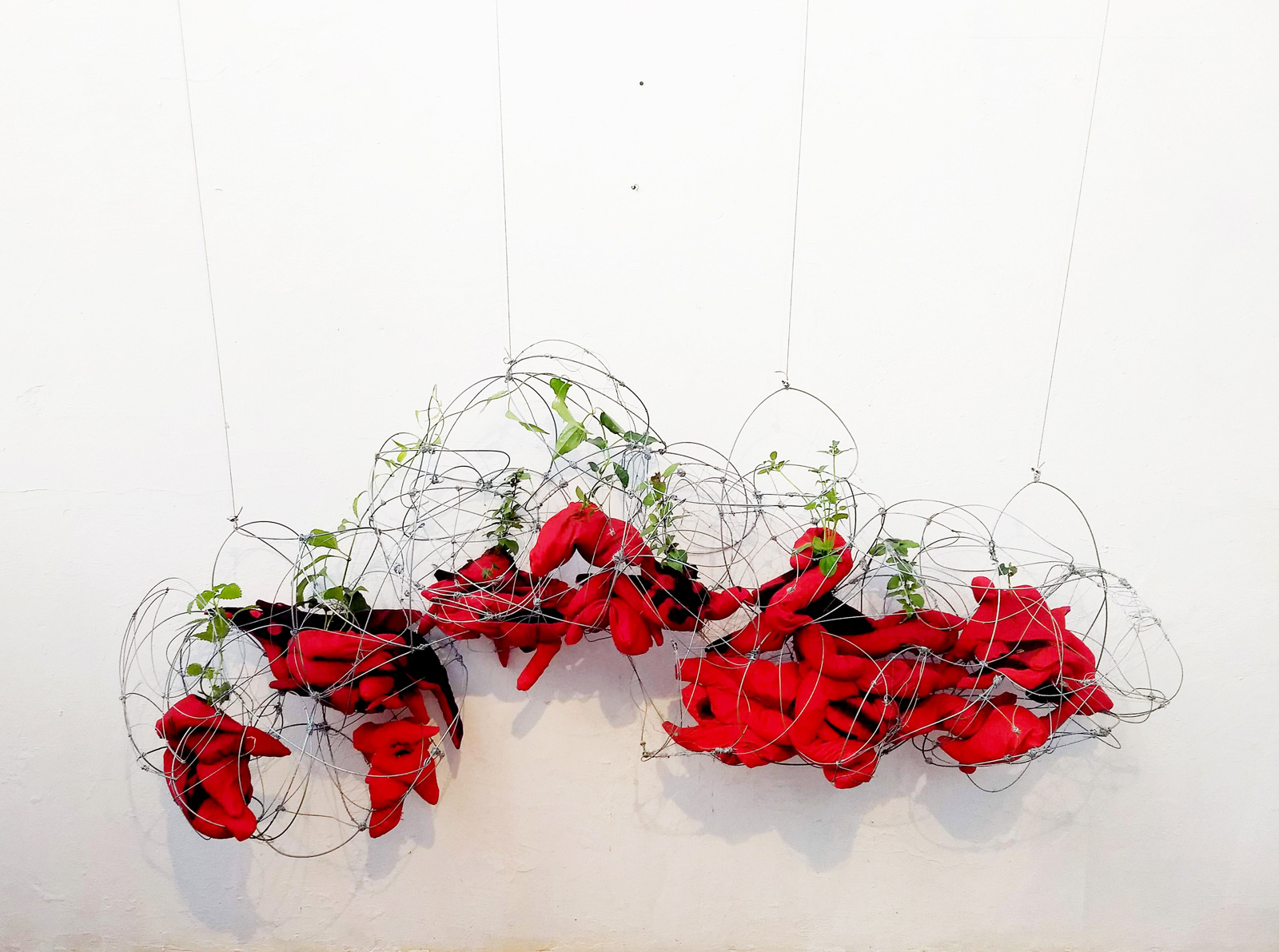 ''Será que clorofila é bom para o organismo?'' | Instalação (Installation) | Tecido pintado, arame, terra e plantas (Painted fabric, wire, soil and plants) | 2020