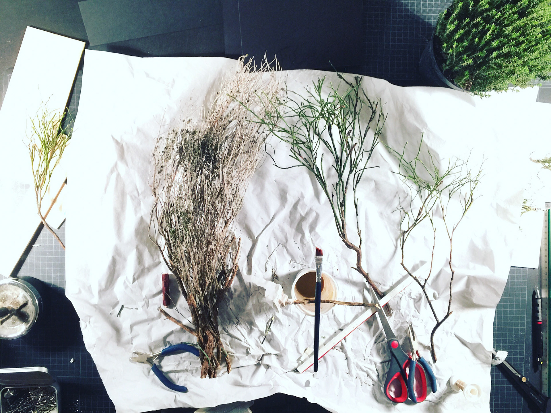 Kinder der Sonne - Modell