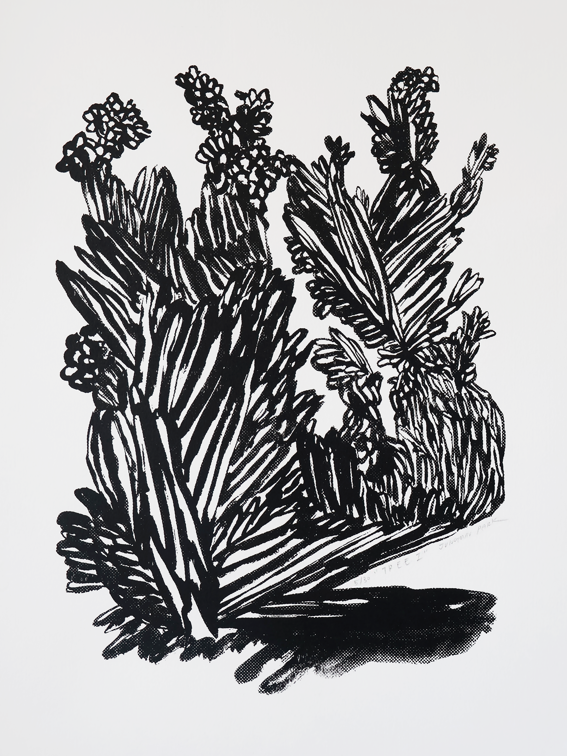Tree I (2026), Screen printing on Fabriano paper