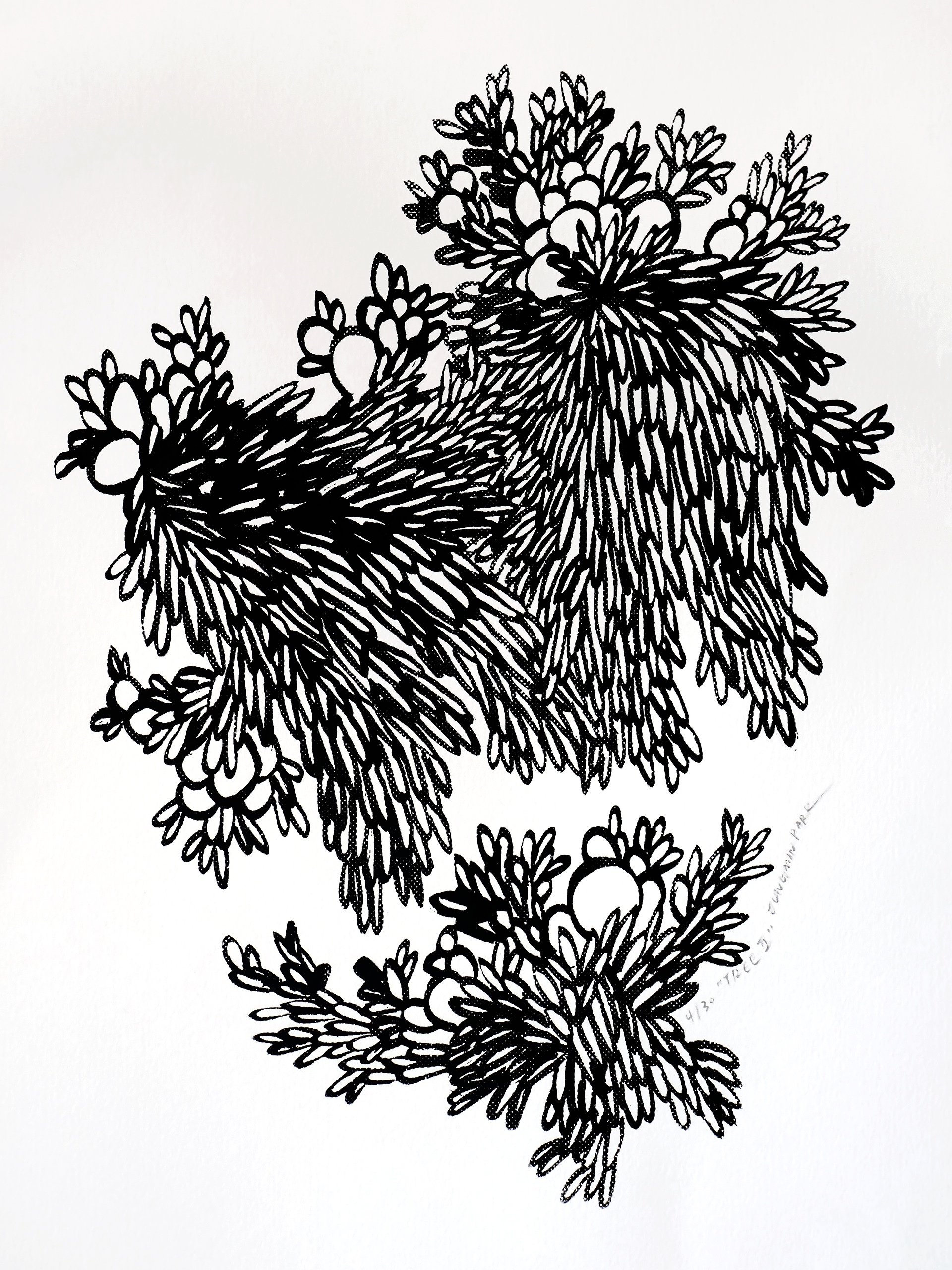 Tree II (2026), Screen printing on Fabriano paper