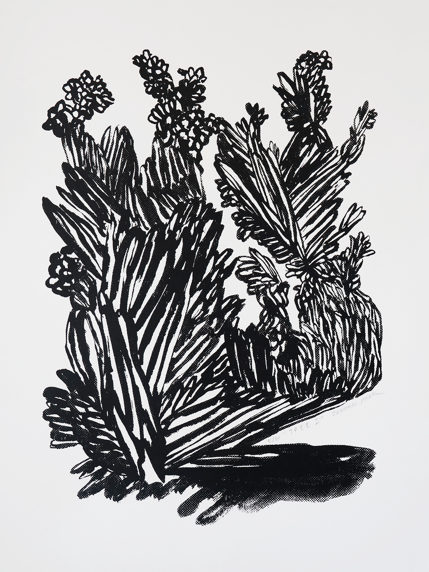 Tree I (2026), Screen printing on Fabriano paper