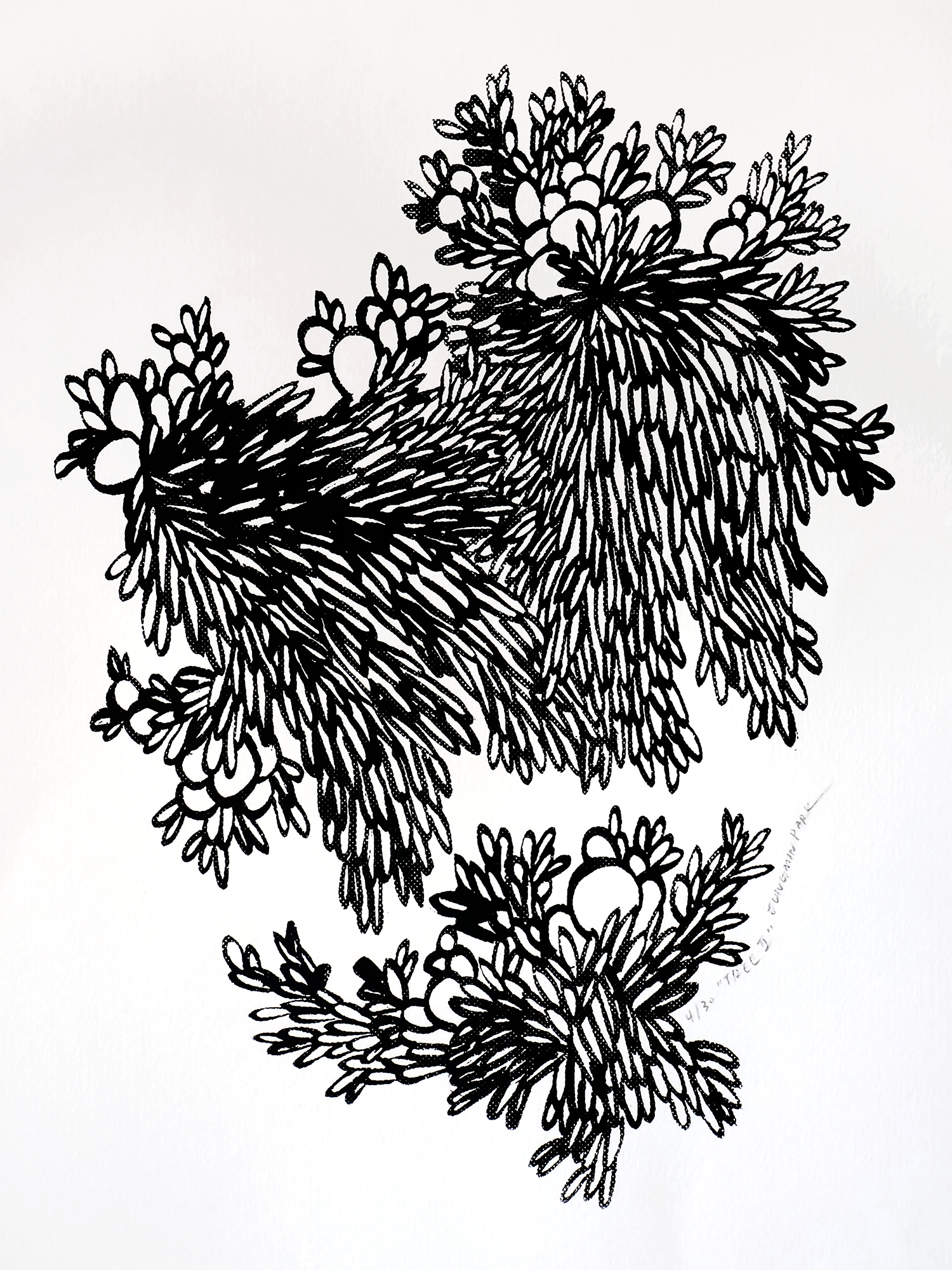 Tree II (2026), Screen printing on Fabriano paper
