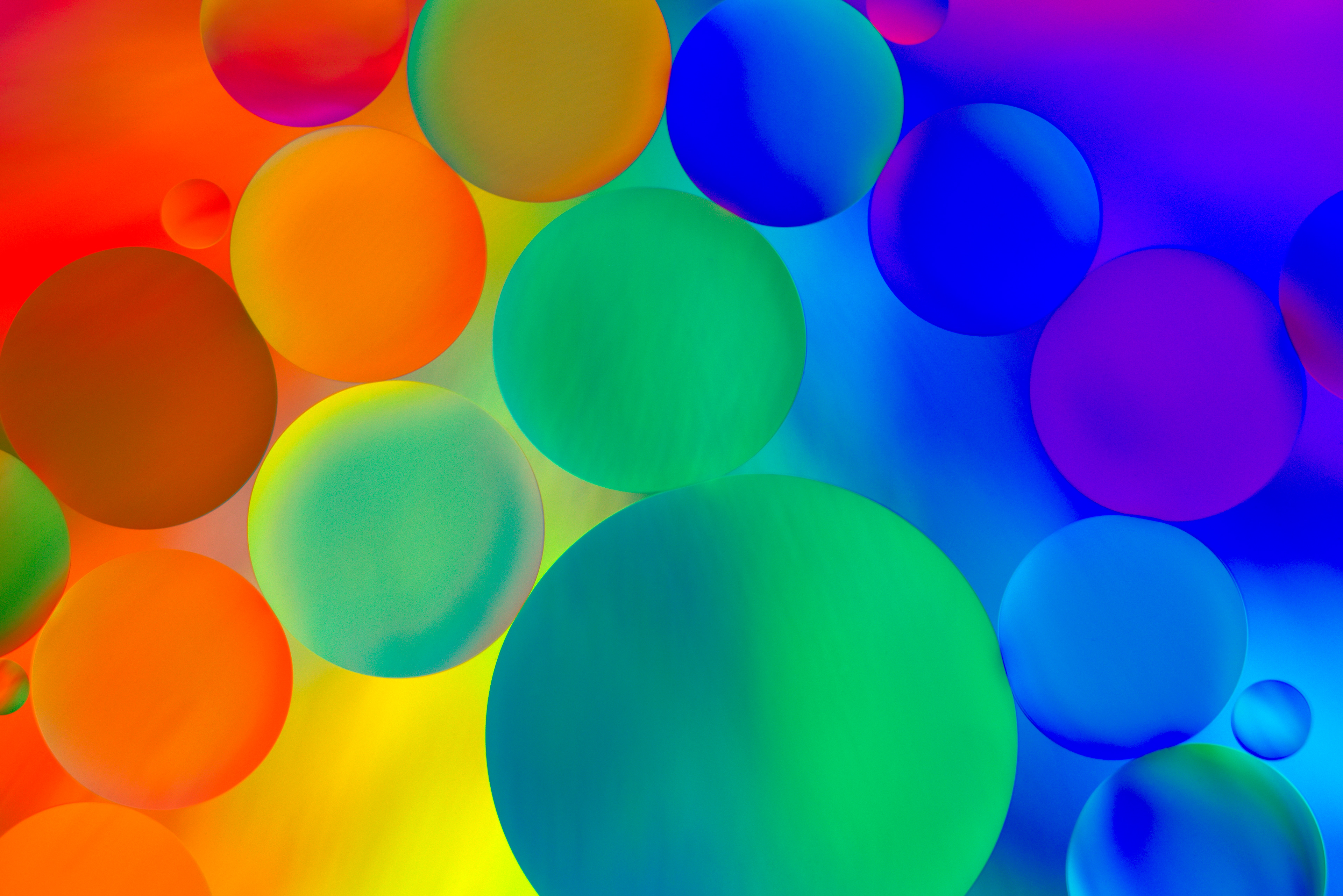 Oil droplets on the surface of water
