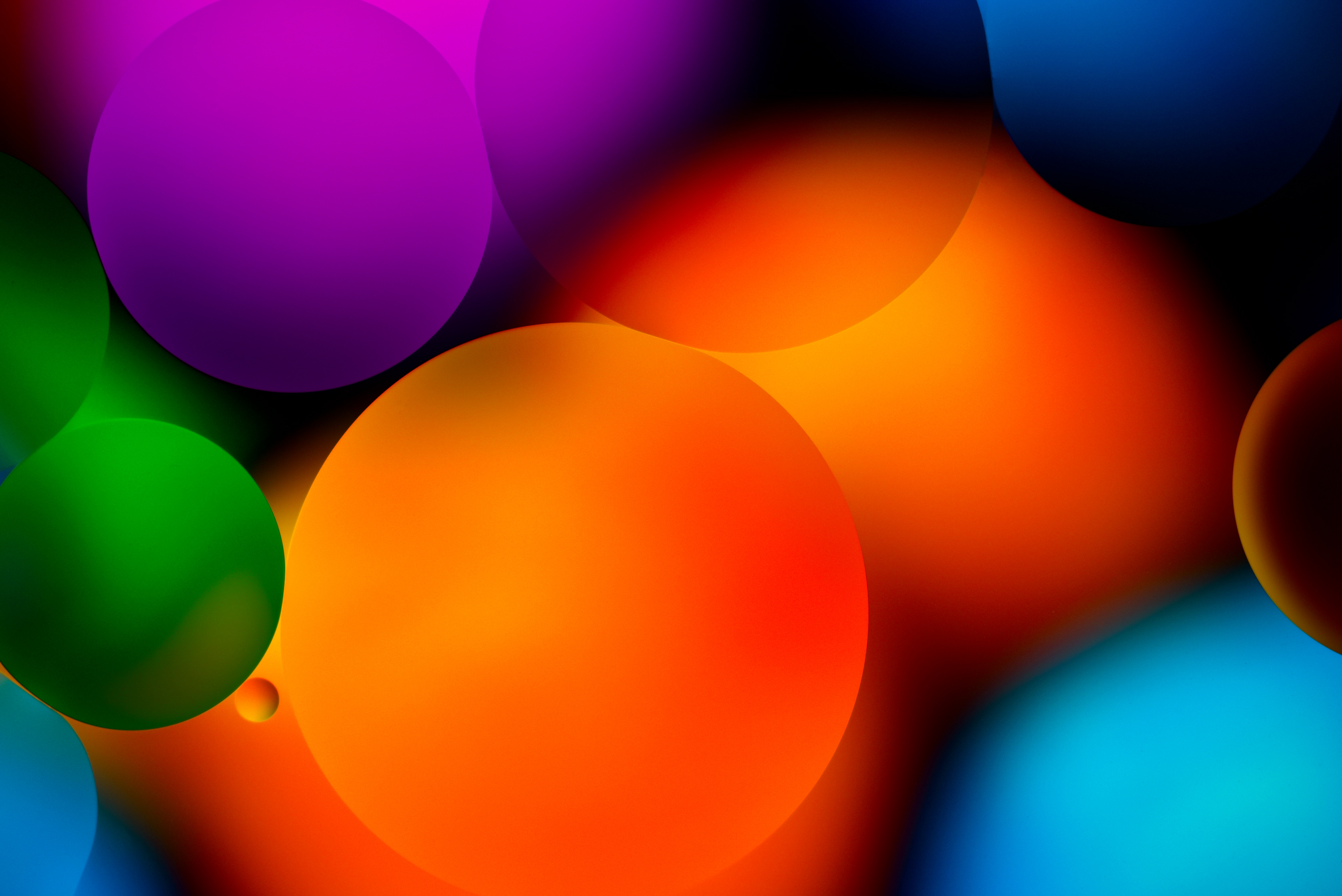 Oil droplets on the surface of water