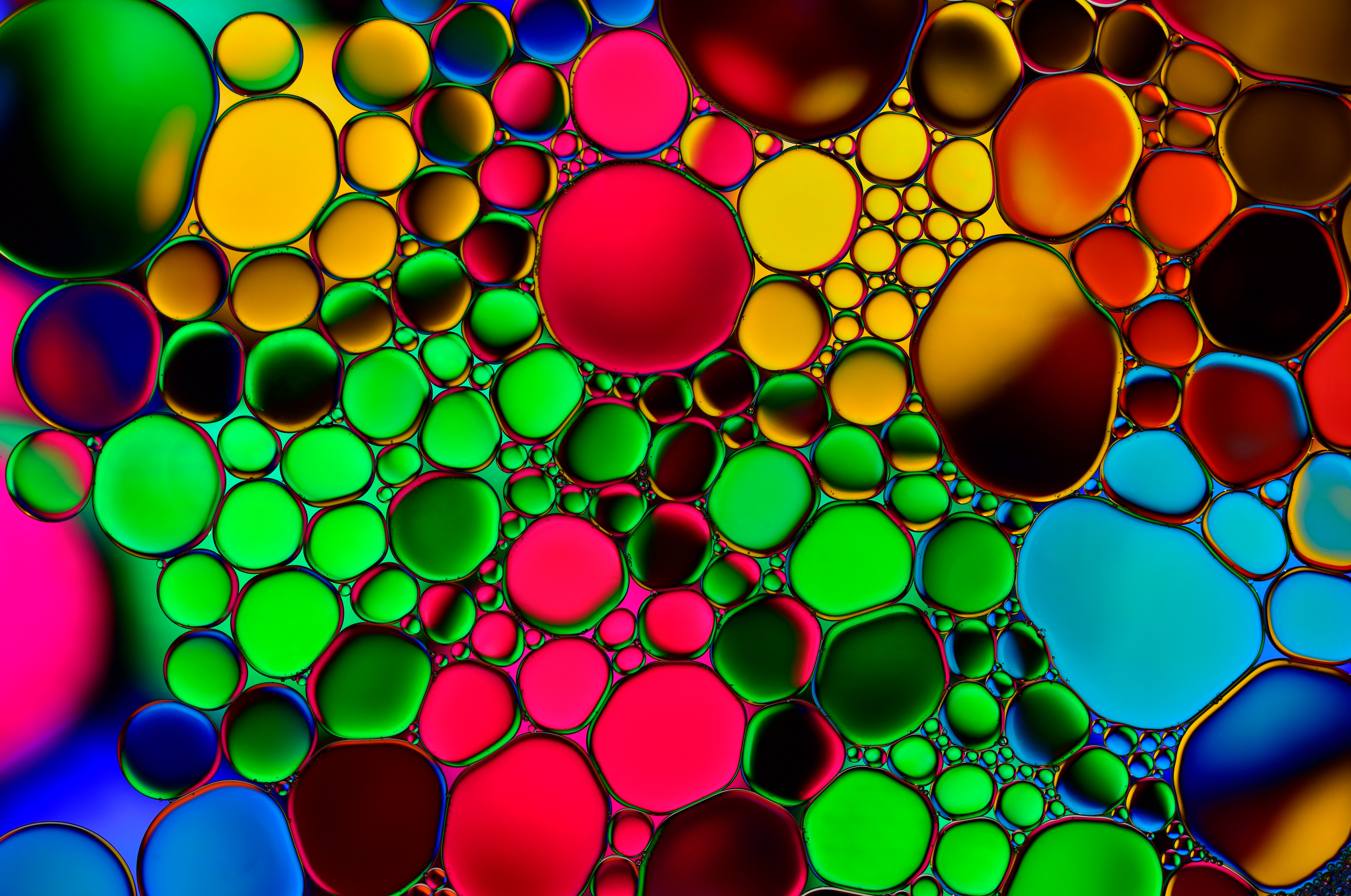Oil droplets on the surface of water