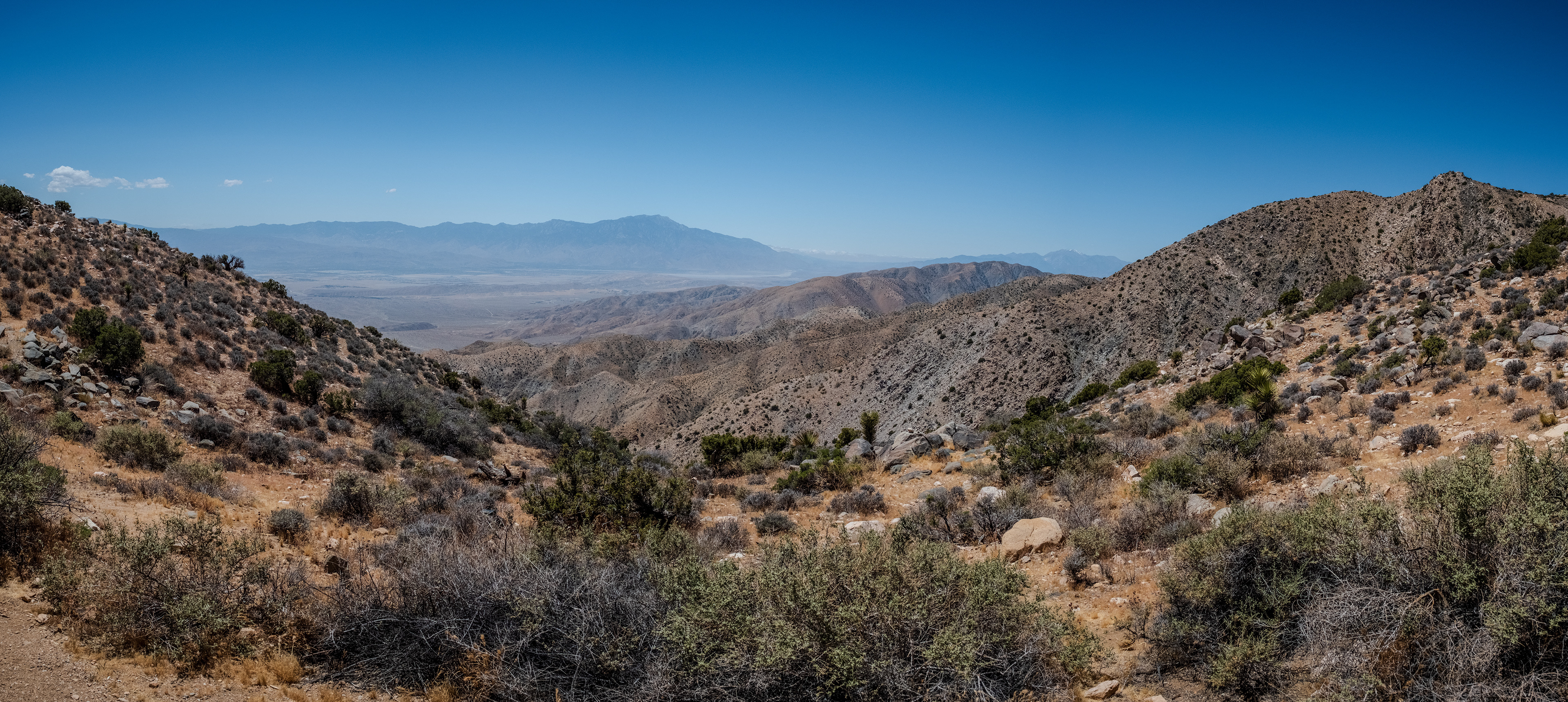 Joshua Tree National Park, California 