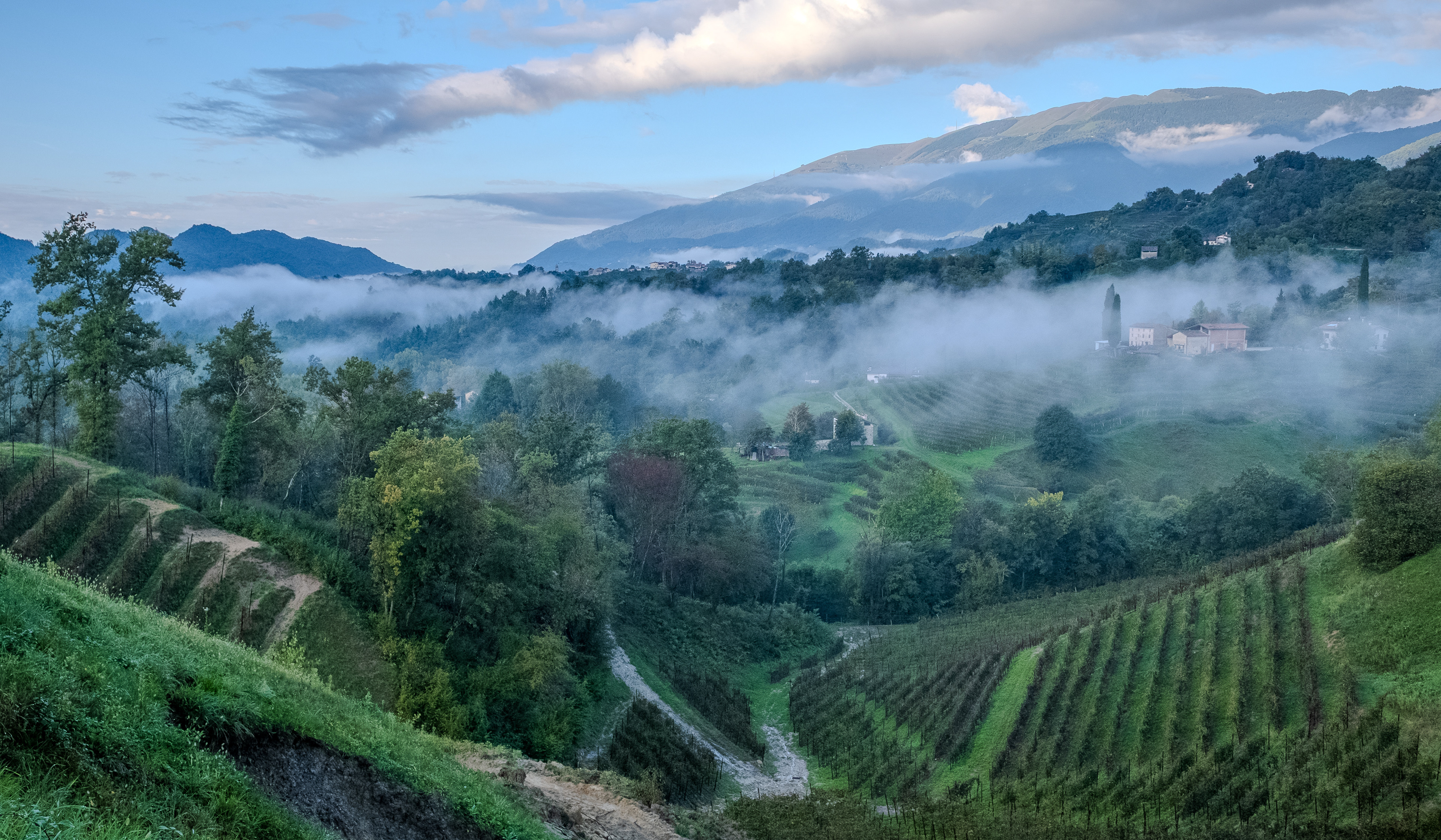 Prosecco Wine Region, Italy