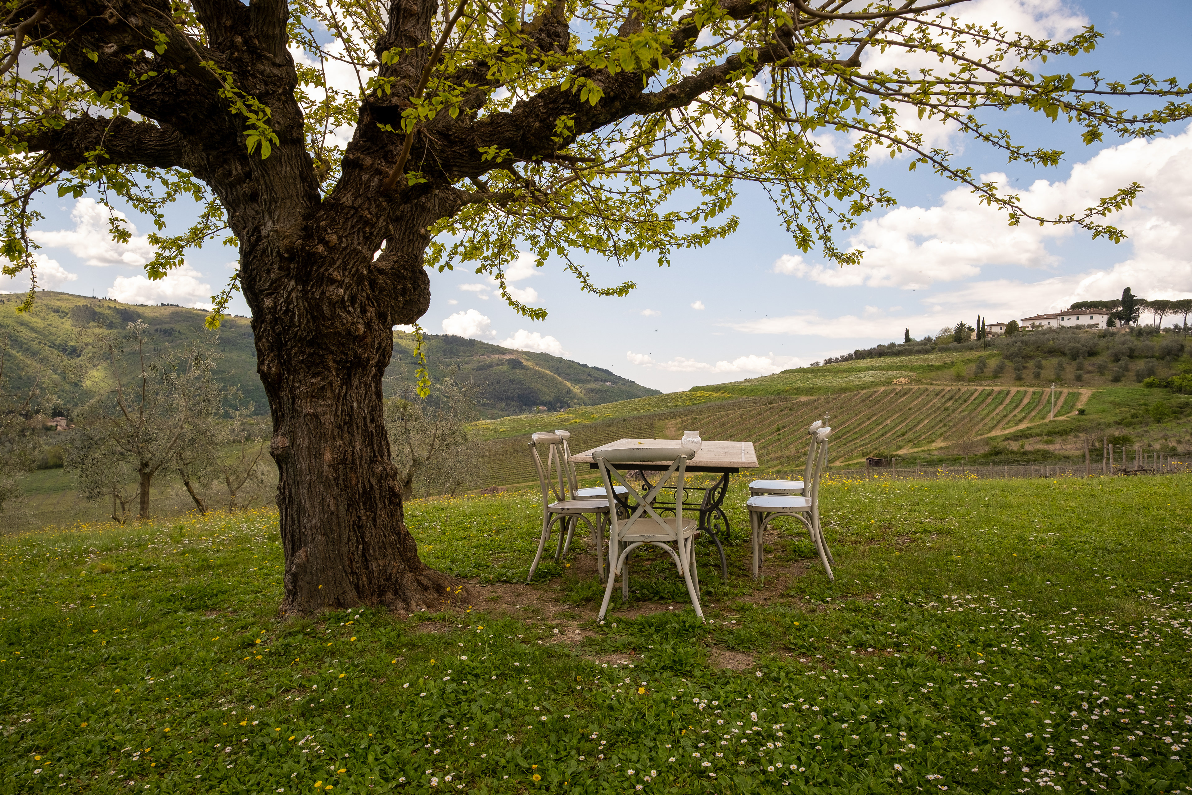 I Veroni Agriturismo, ~ Tuscany, Italy​