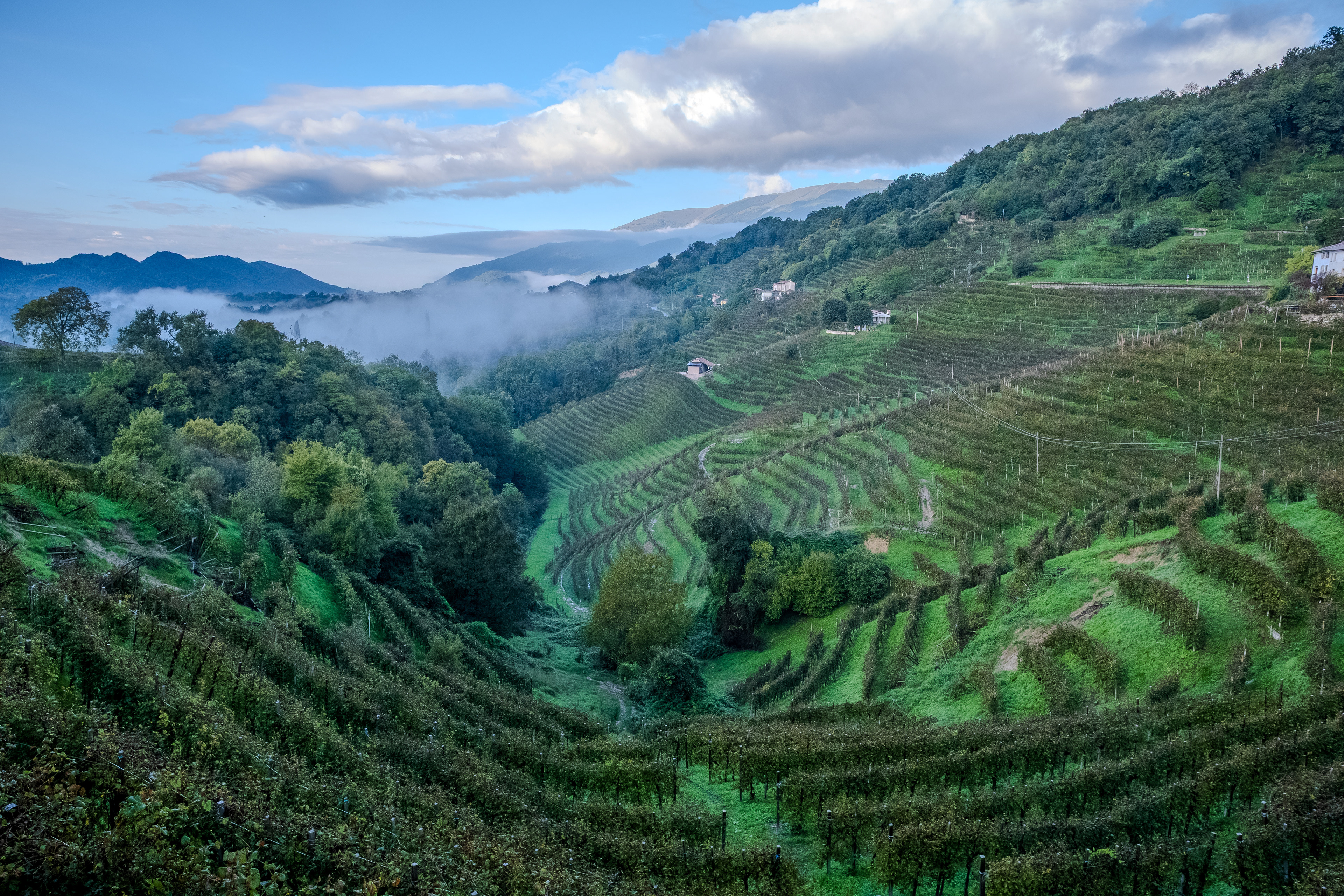 Rolle, Italy ~ Prosecco Wine Region