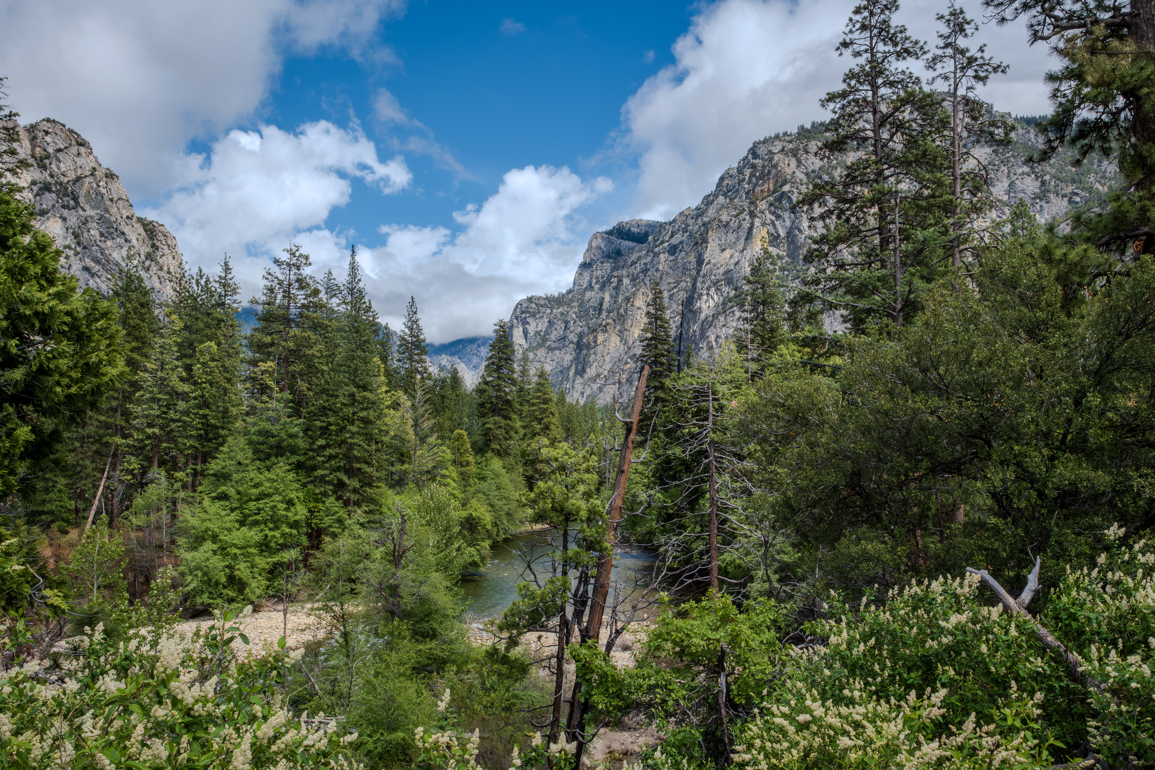 ​Kings Canyon National Park, California 