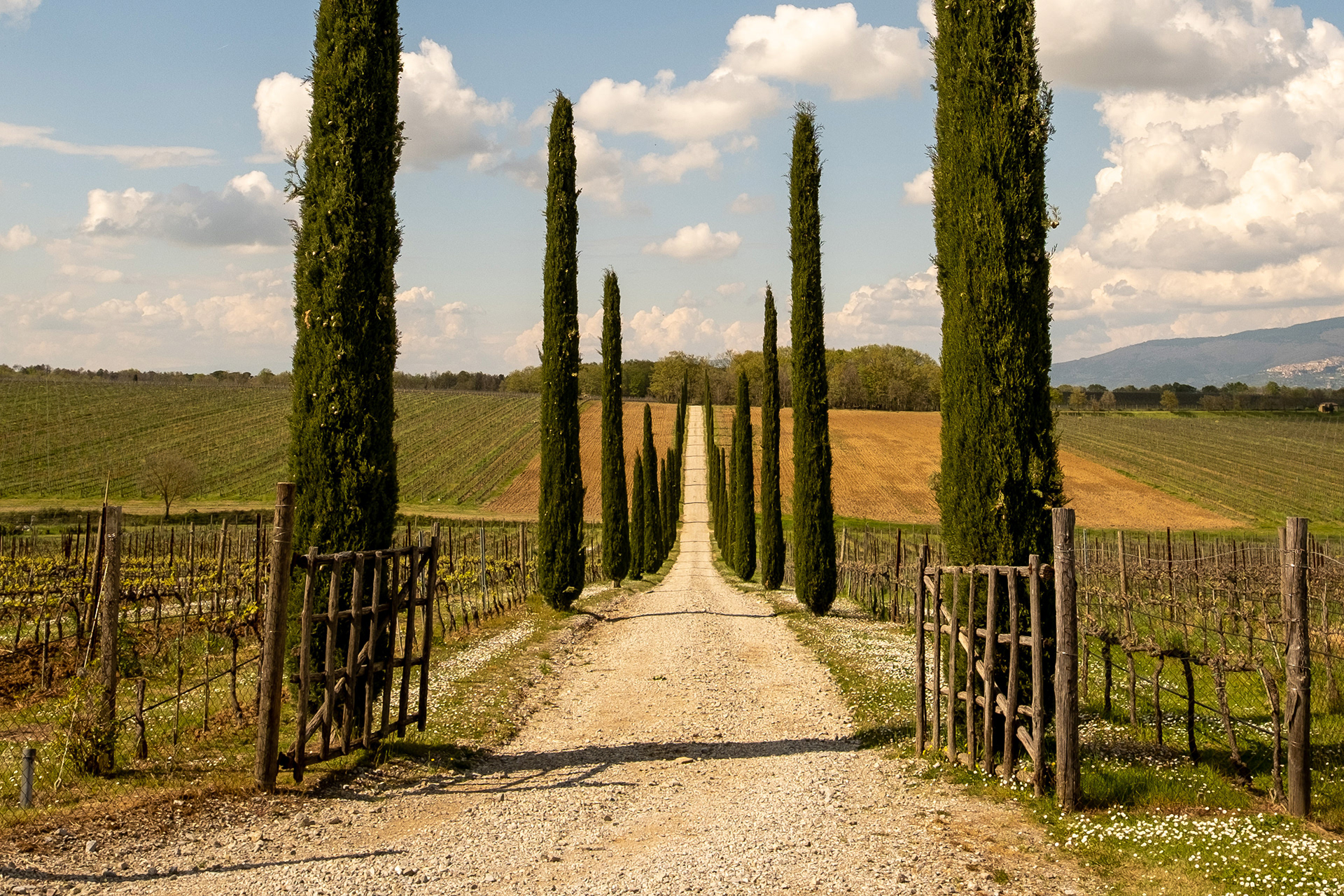 La Braccesca Winery ~ Montepulciano, Italy ​