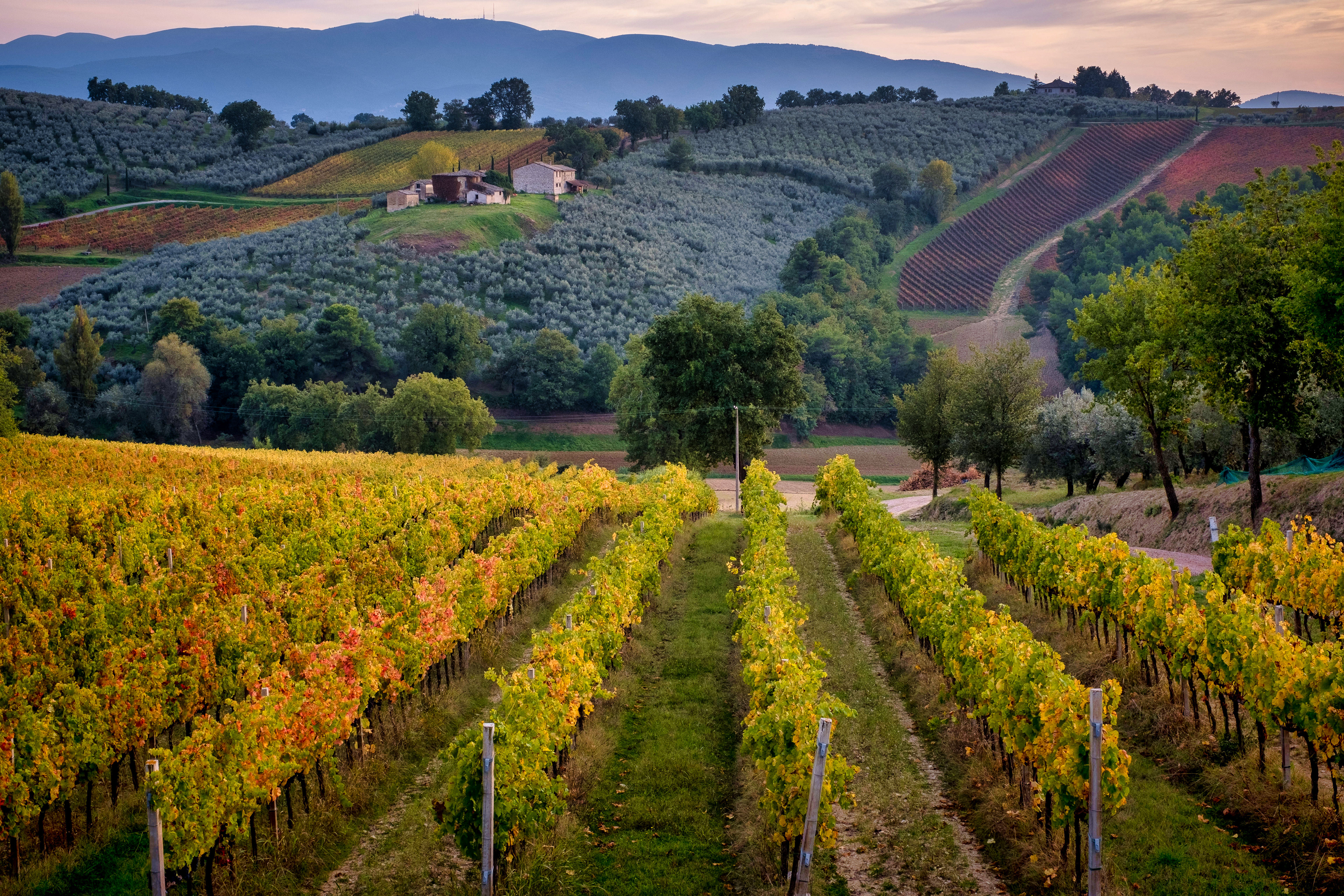 Villa Mongalli Winery ~ Umbria, Italy