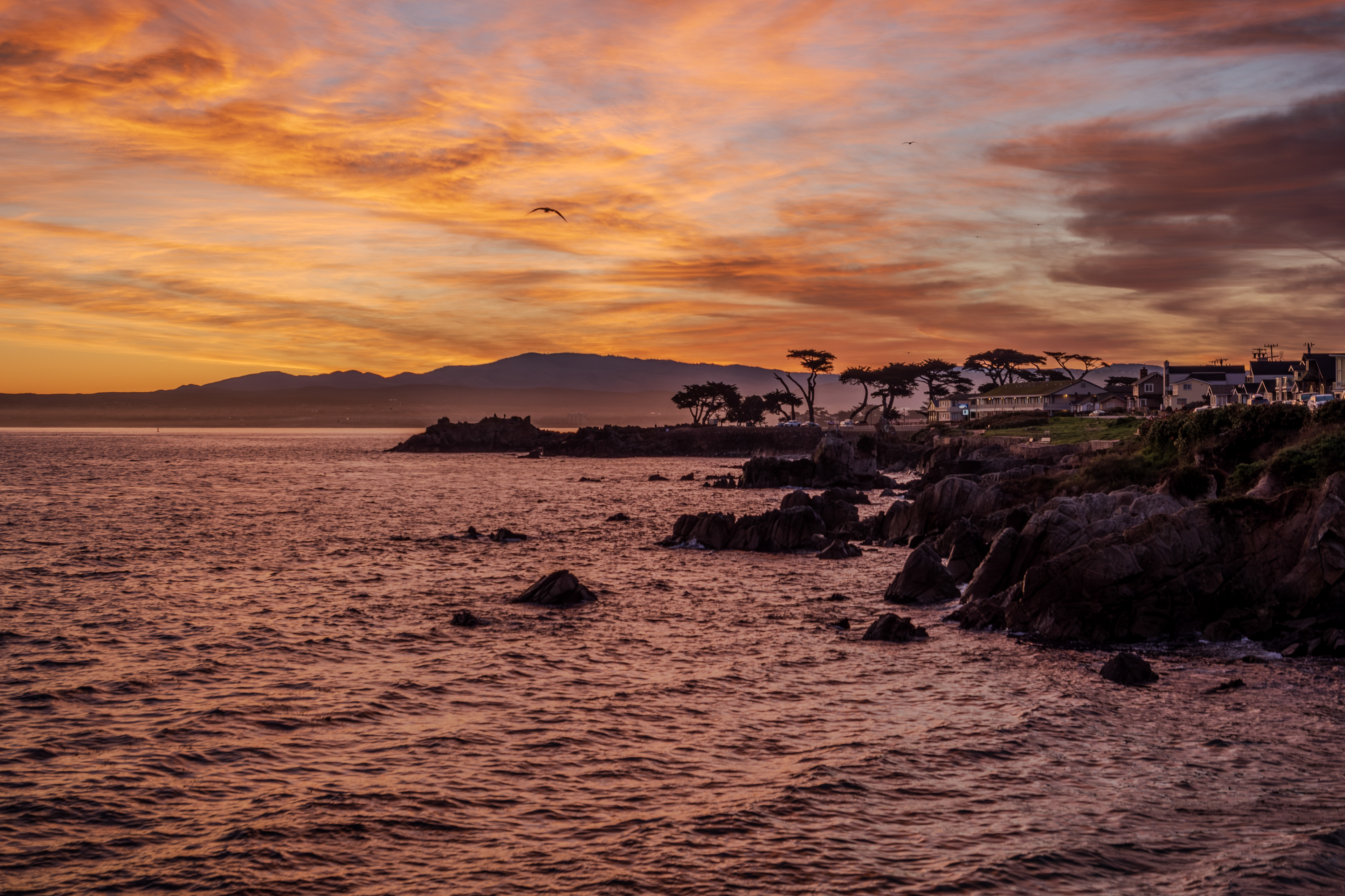 Sunrise Pacific Grove ~ Monterey Bay, California 