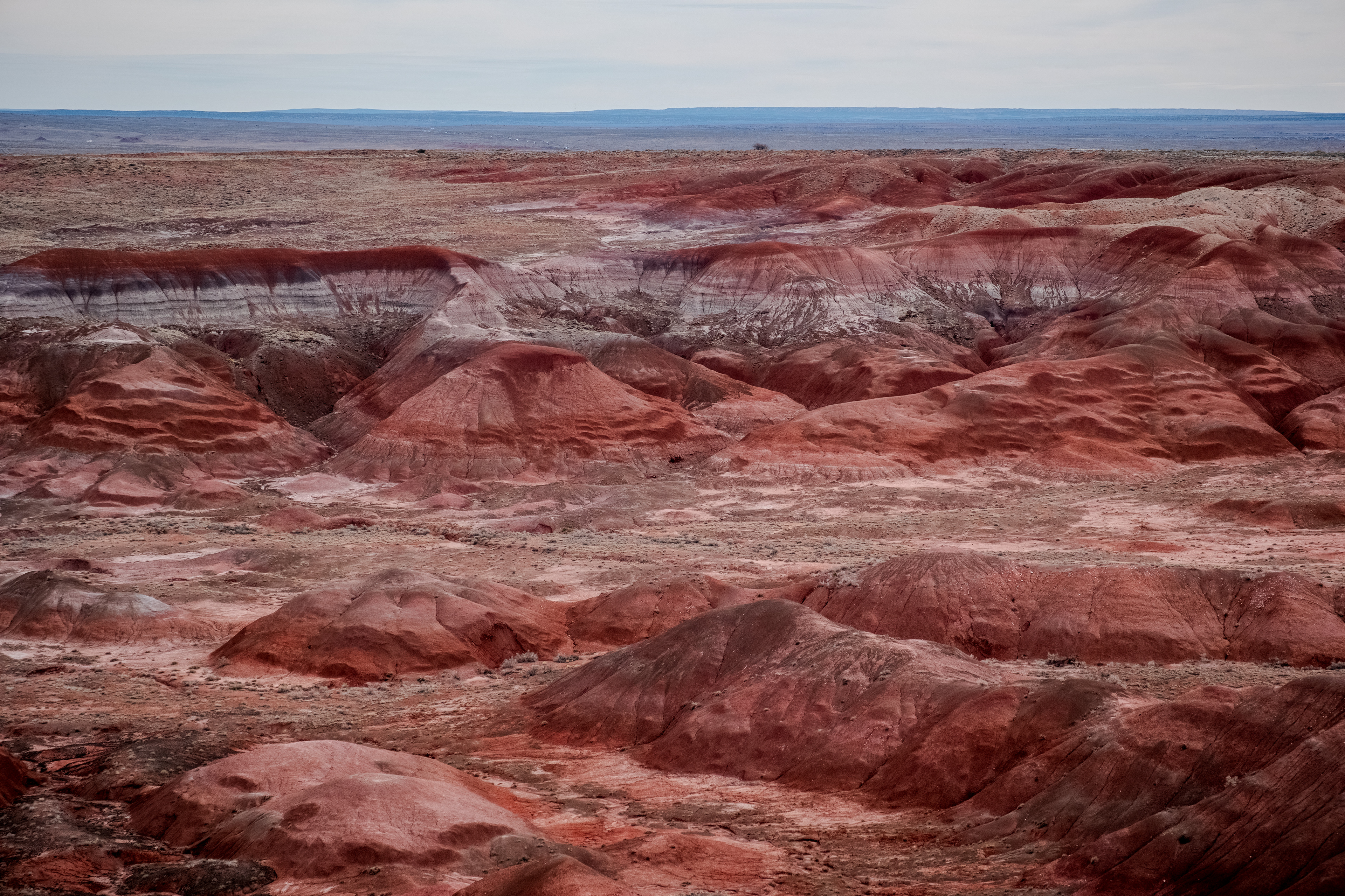 Painted Desert ~ Petrified Forest National Park, Arizona