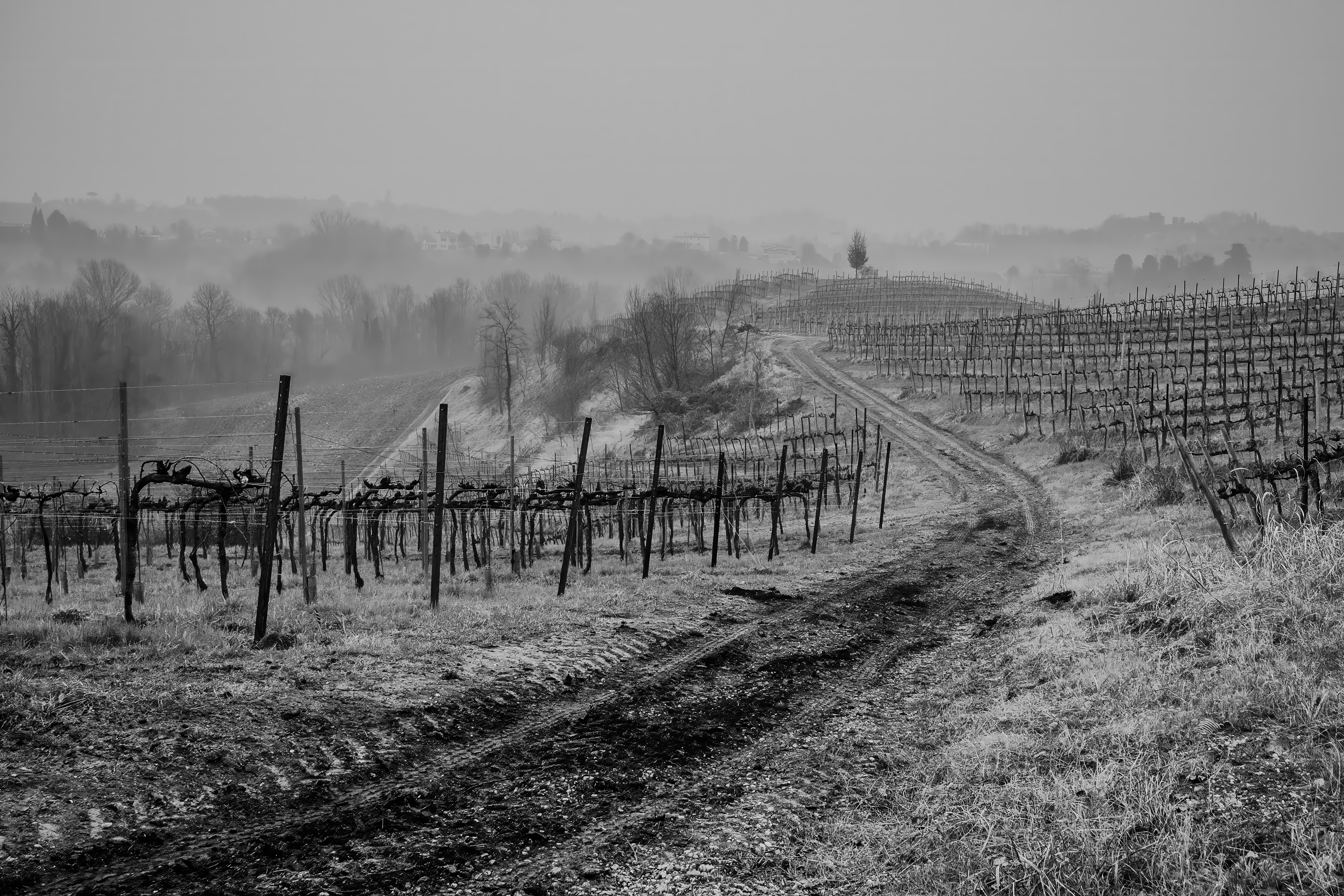 Processo Hills, Italy