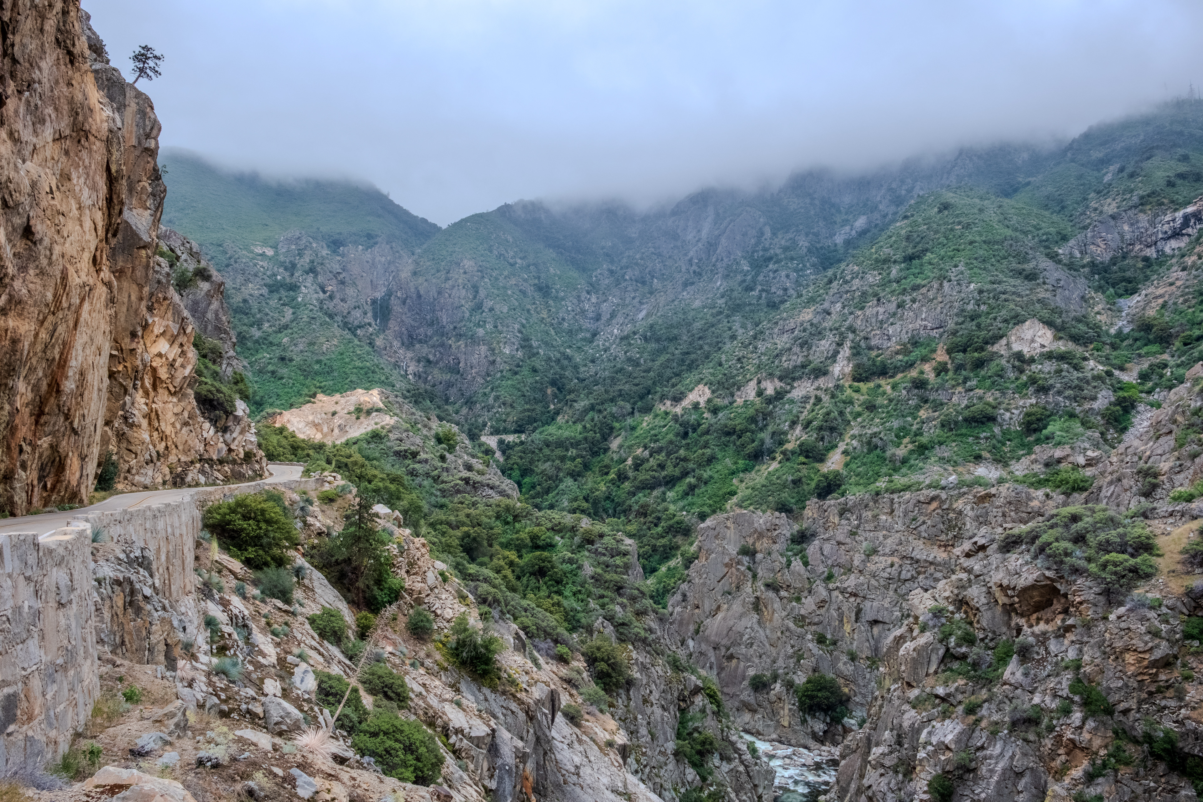 ​Kings Canyon National Park, California 