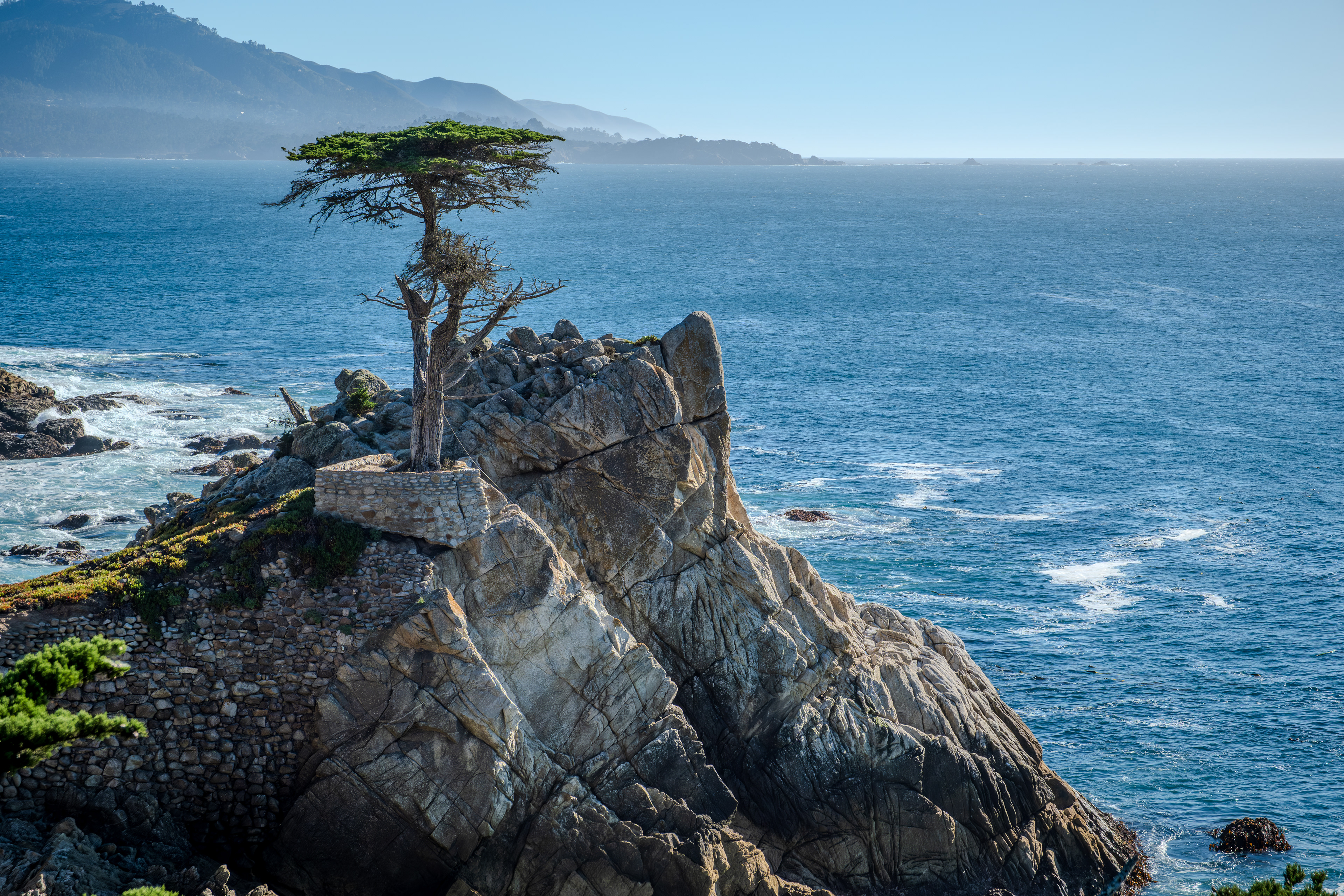The Lone Cypress Stands Alone ~ Pebble Beach, California 