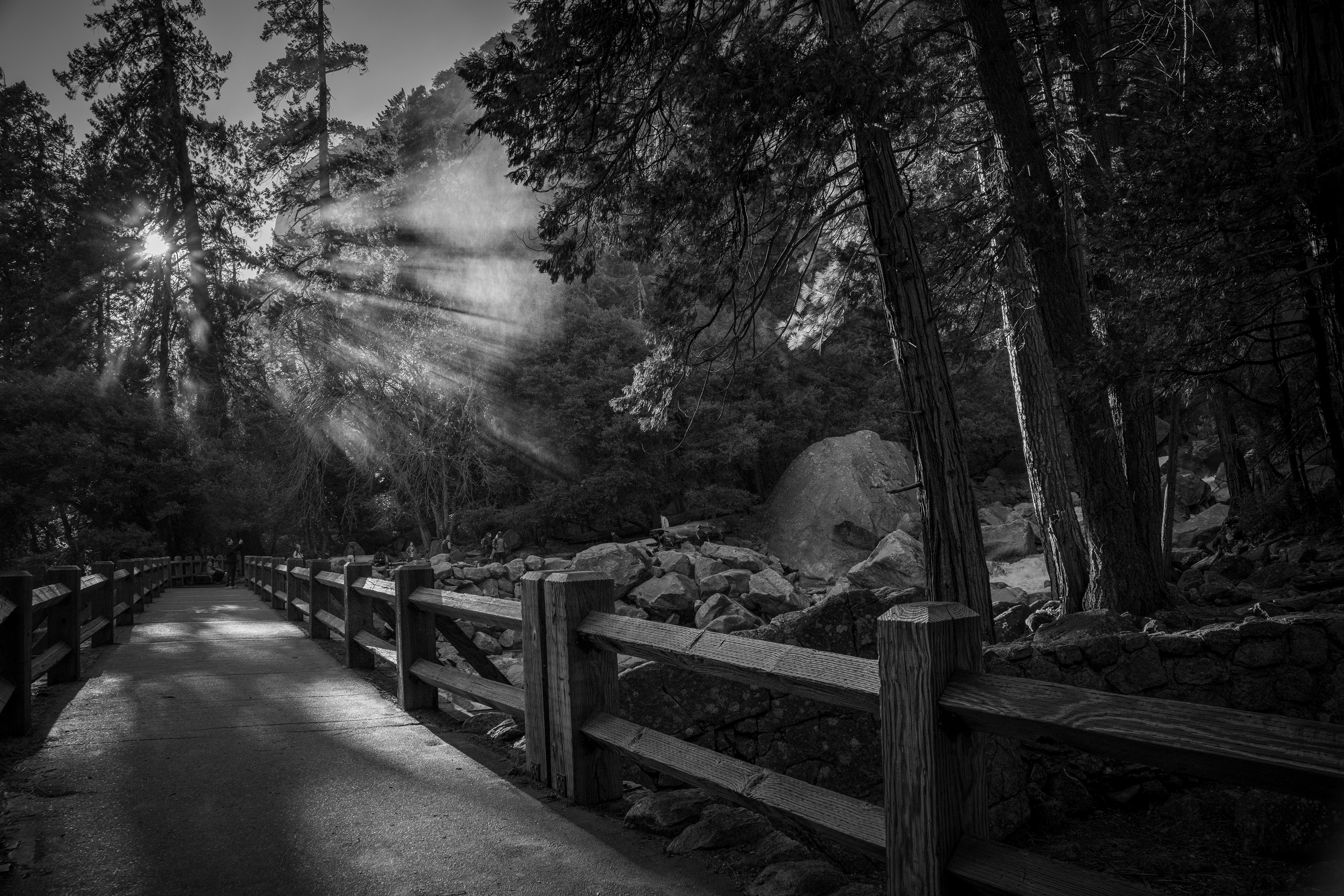 Yosemite National Park, California 