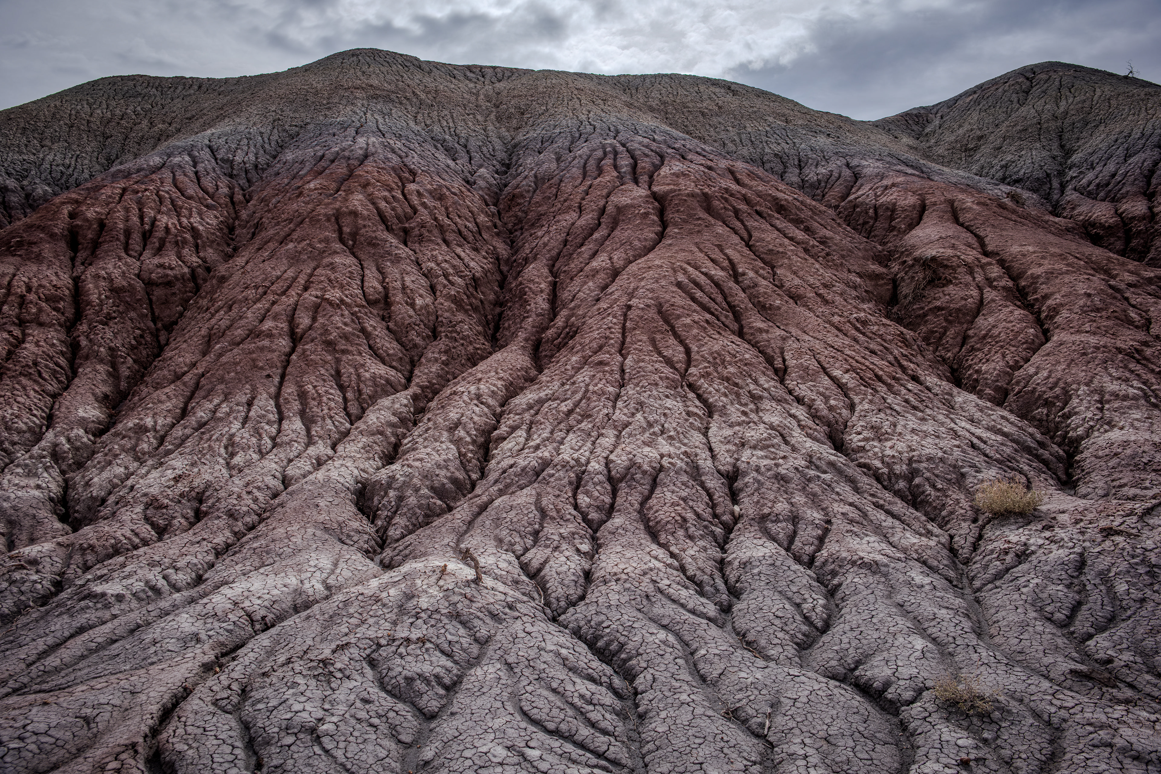 Petrified Forest National Park, Arizona