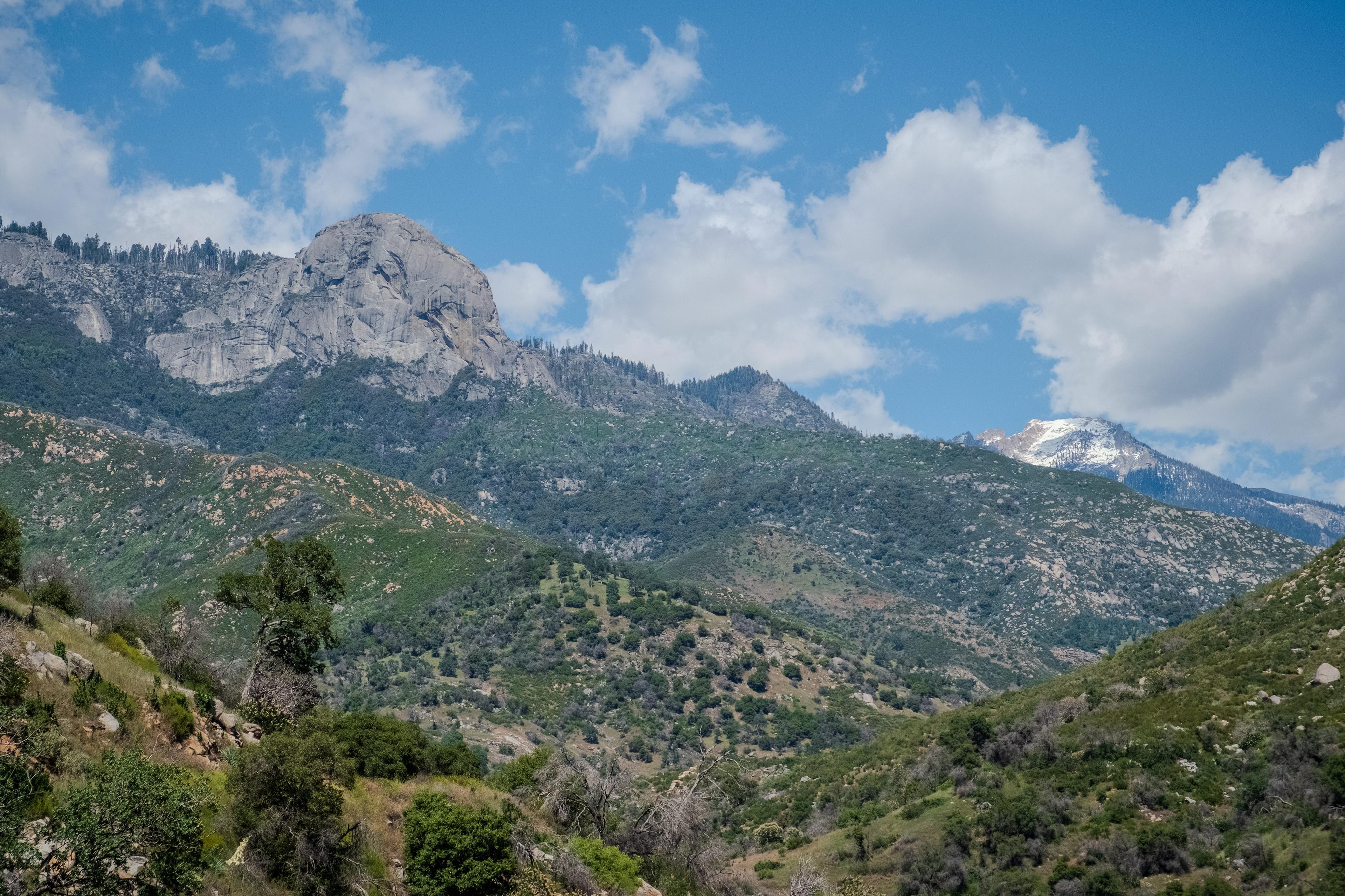 Sequoia National Park, California