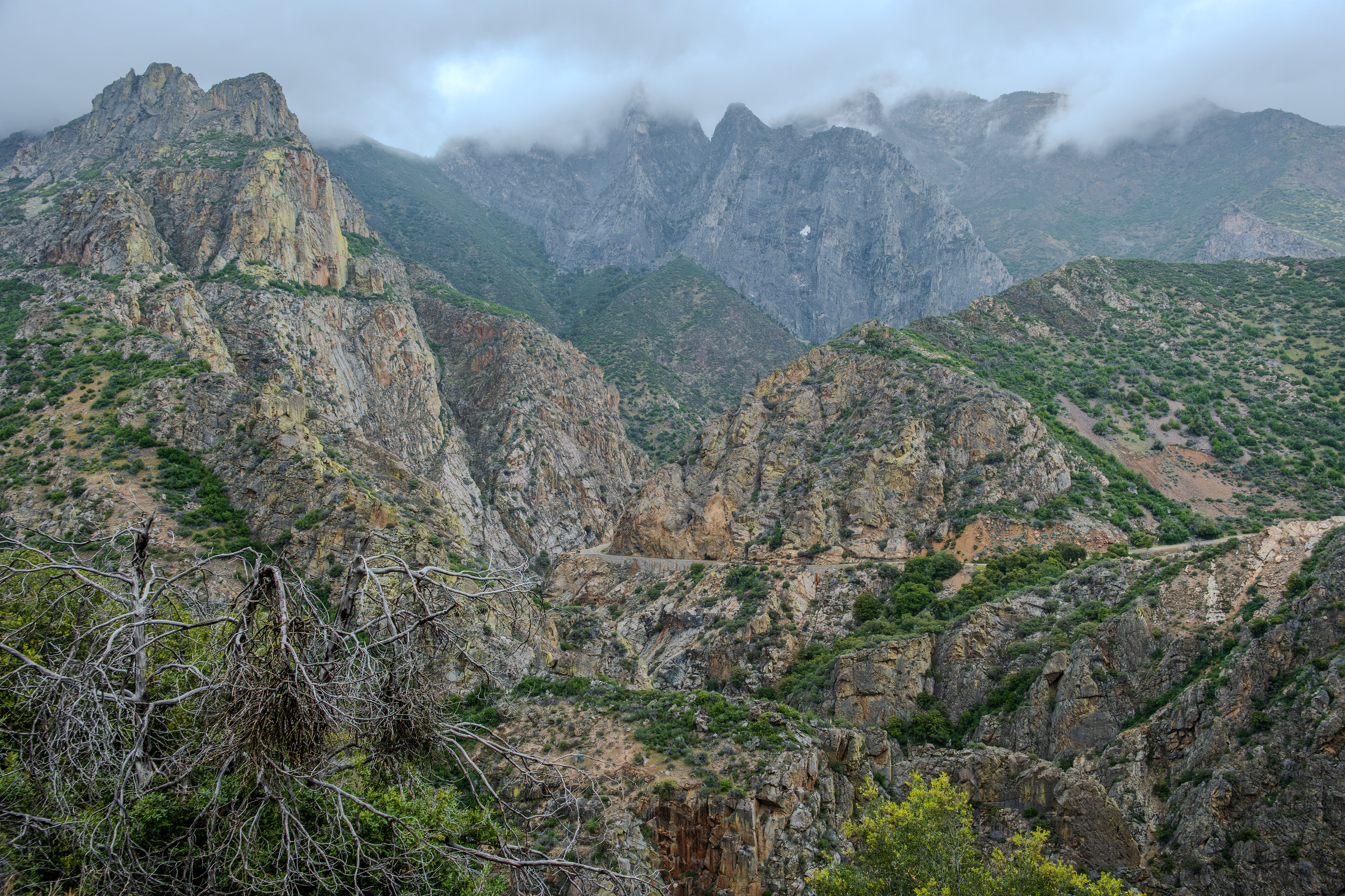 ​Kings Canyon National Park, California 