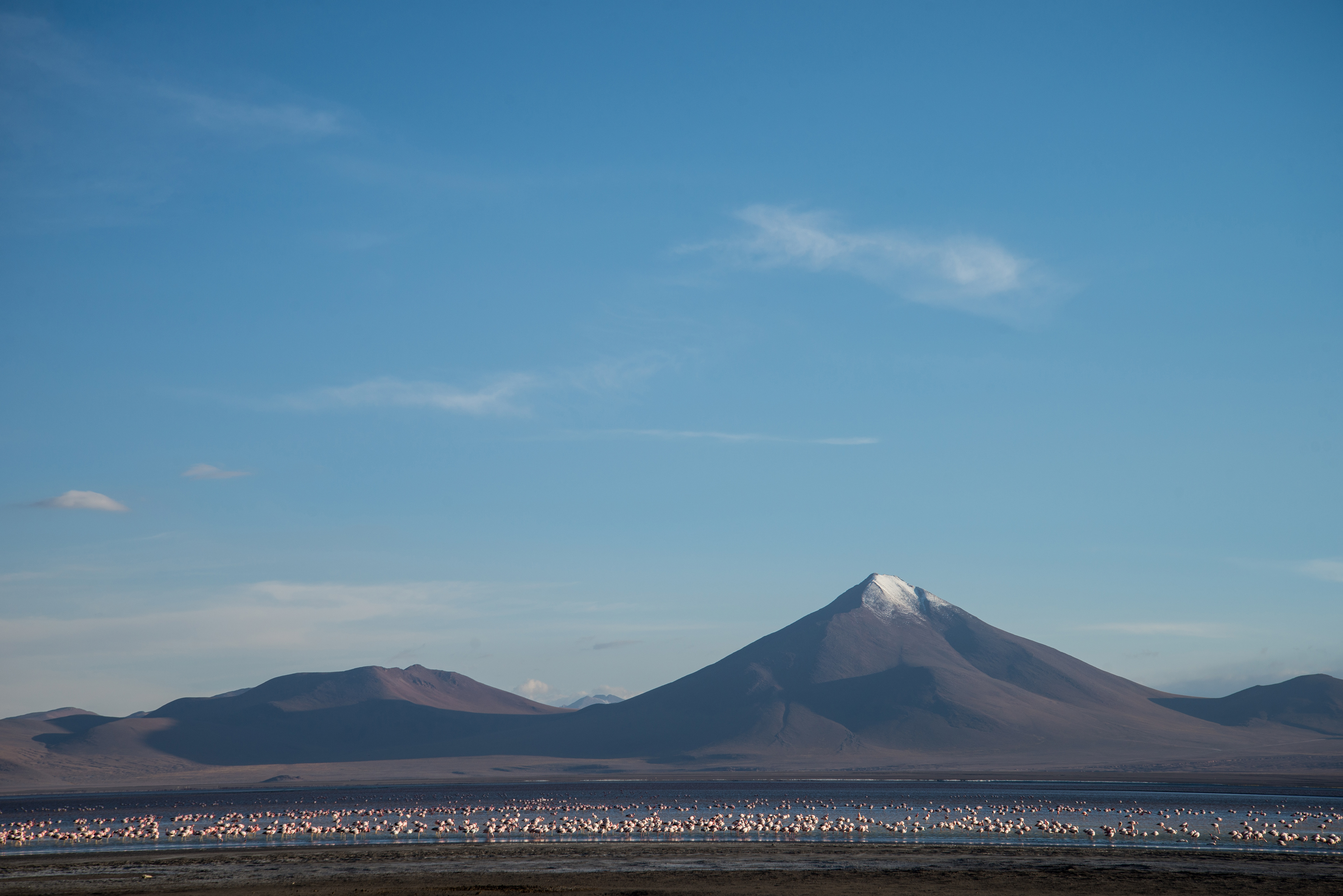 Reserva Nacional de Fauna Andina Eduardo Avaroa - Bolivia