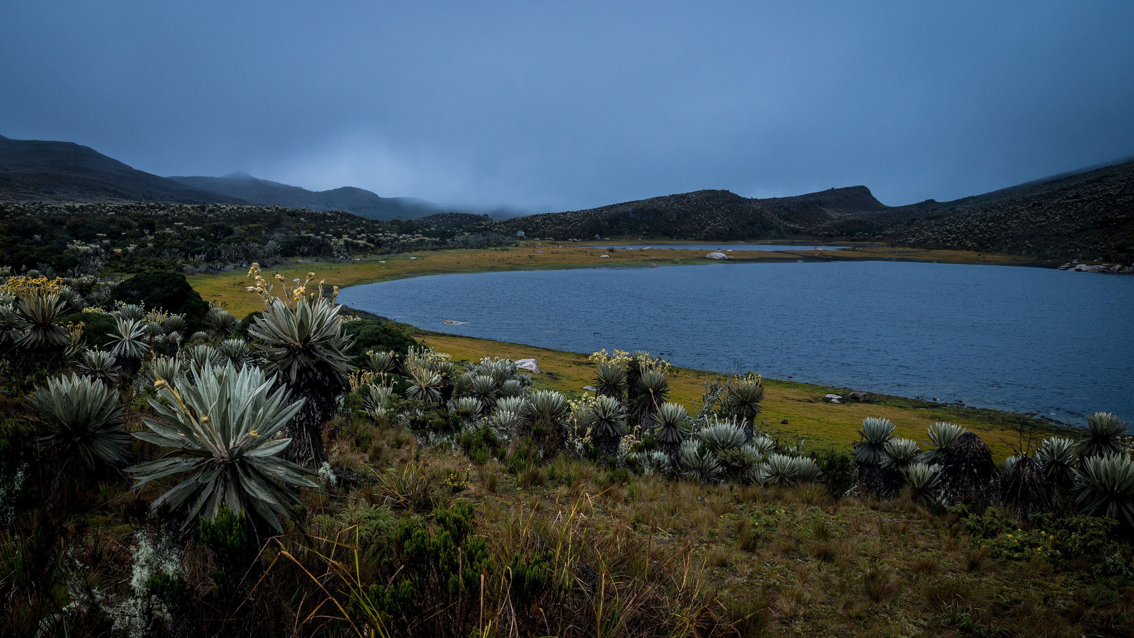 Páramo De Sumapaz - Cundinamarca, Colombia