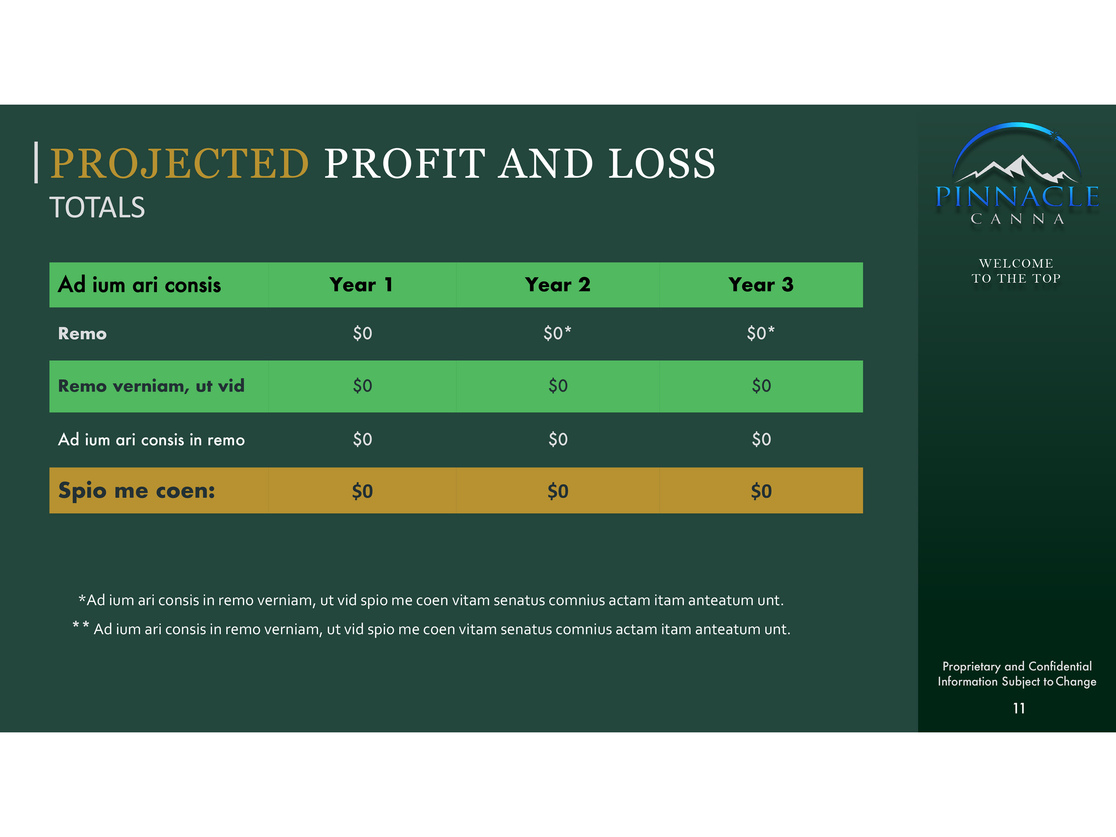 Profit/Loss - AFTER