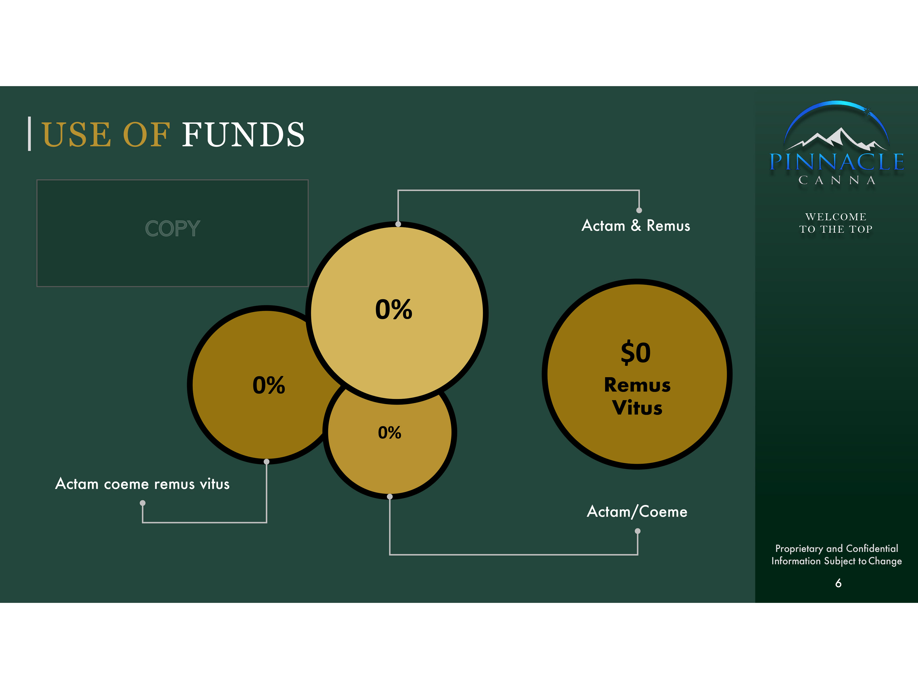 Use of Funds - AFTER