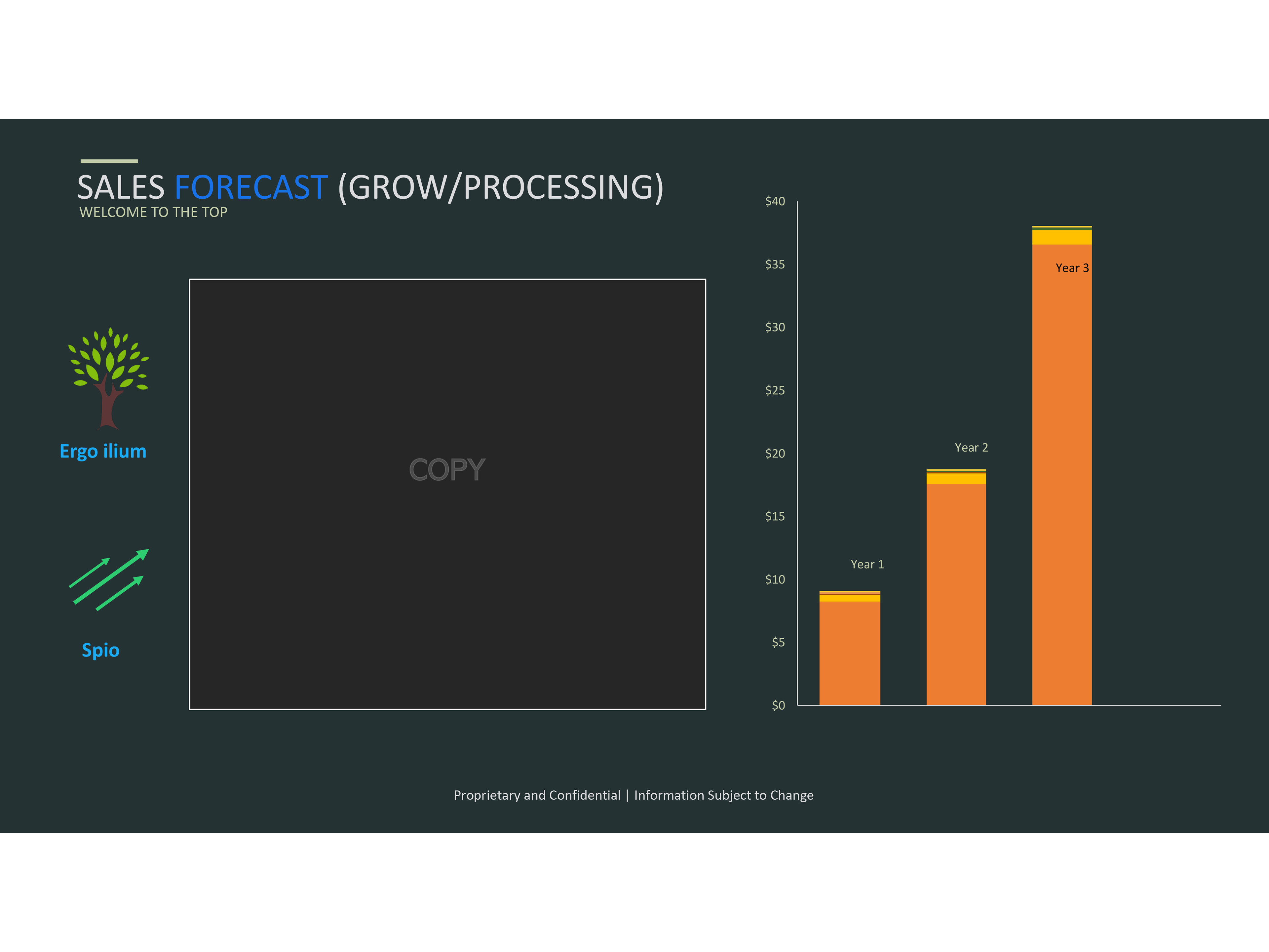 Sales Forecast - BEFORE