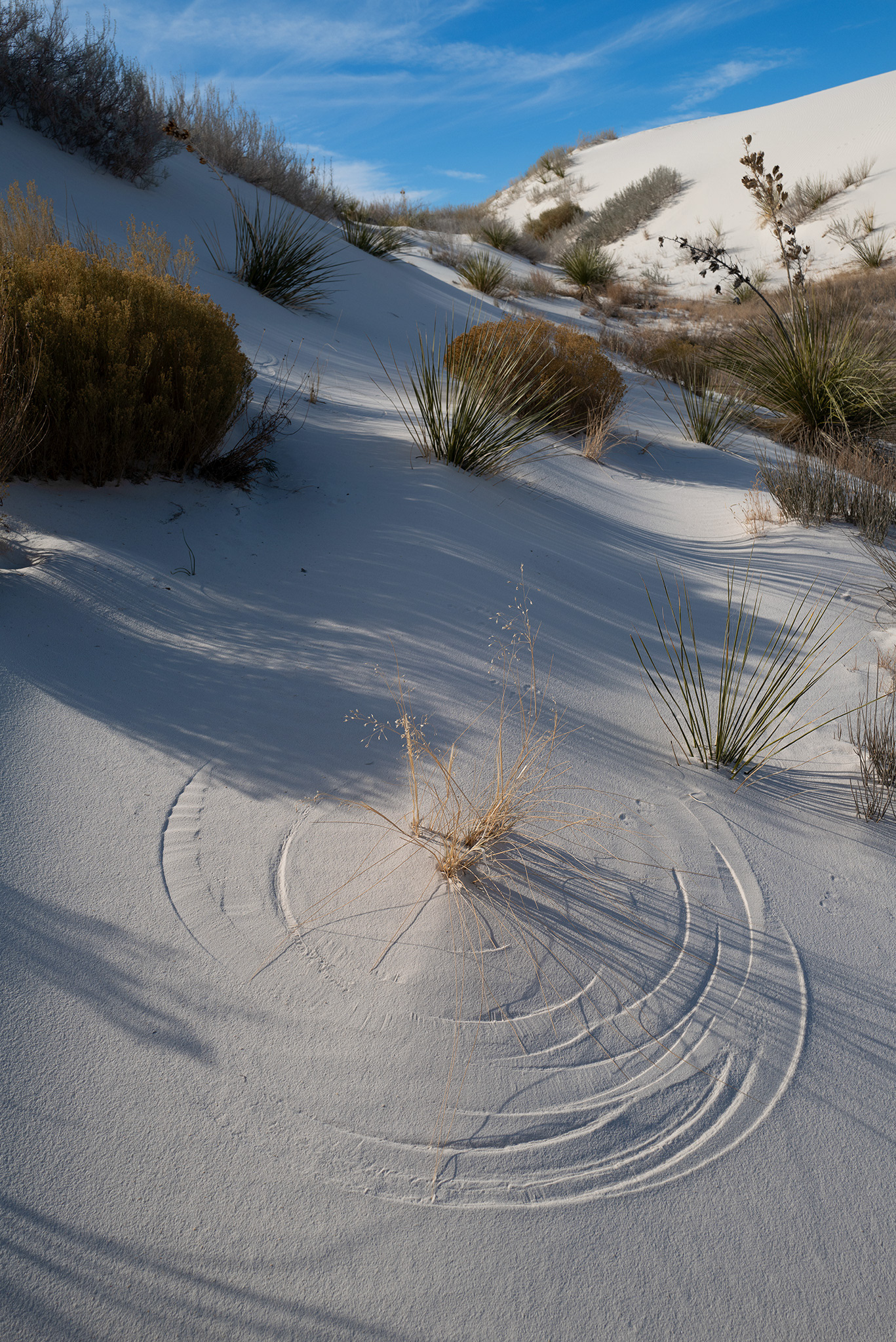White Sands New Mexico