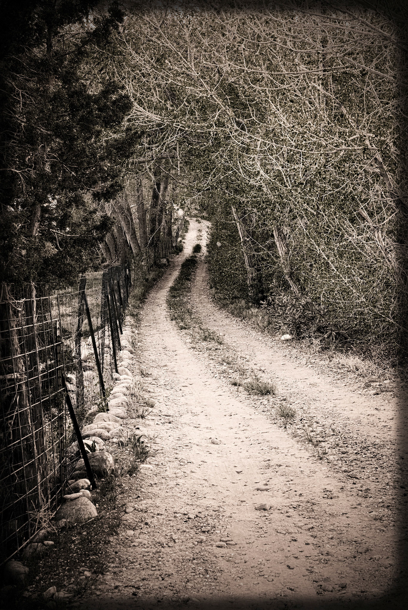 Dirt Road to Home, Nambe, New Mexico
