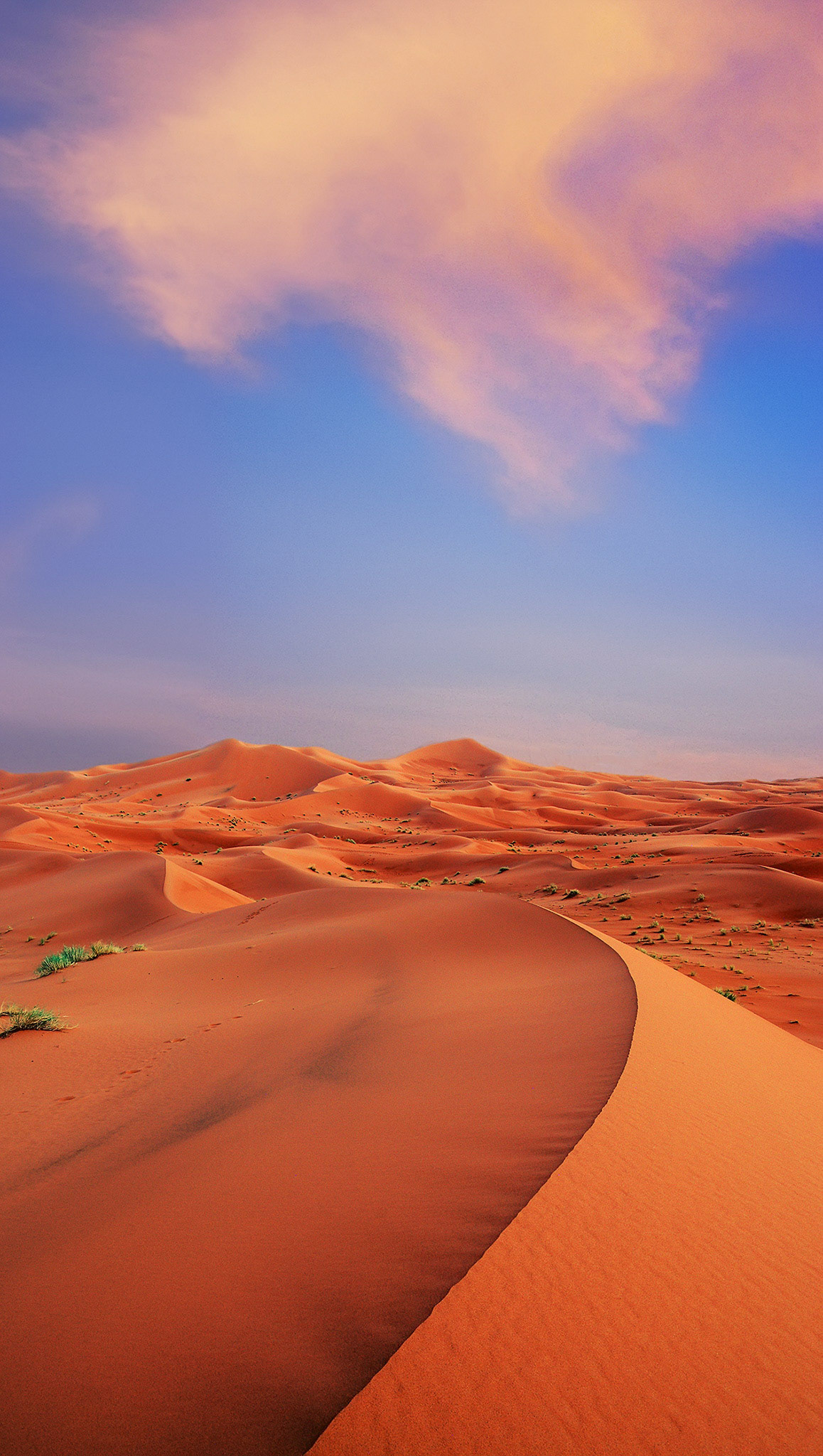 Desert Vista, Sahara, Morocco