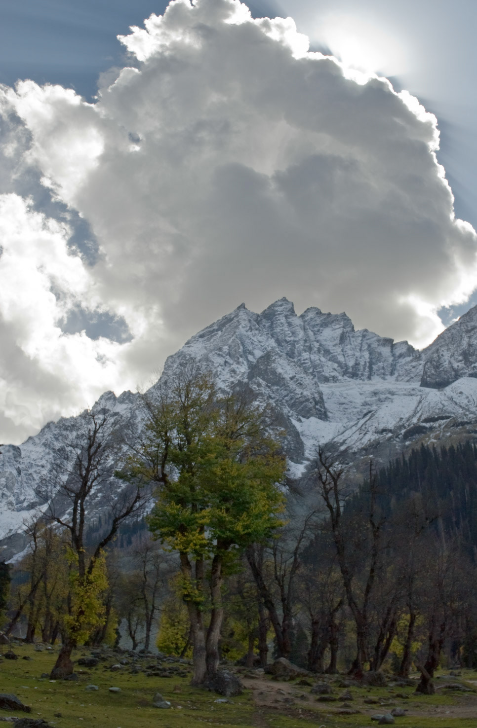 Himalayan Afternoon, Kashmir