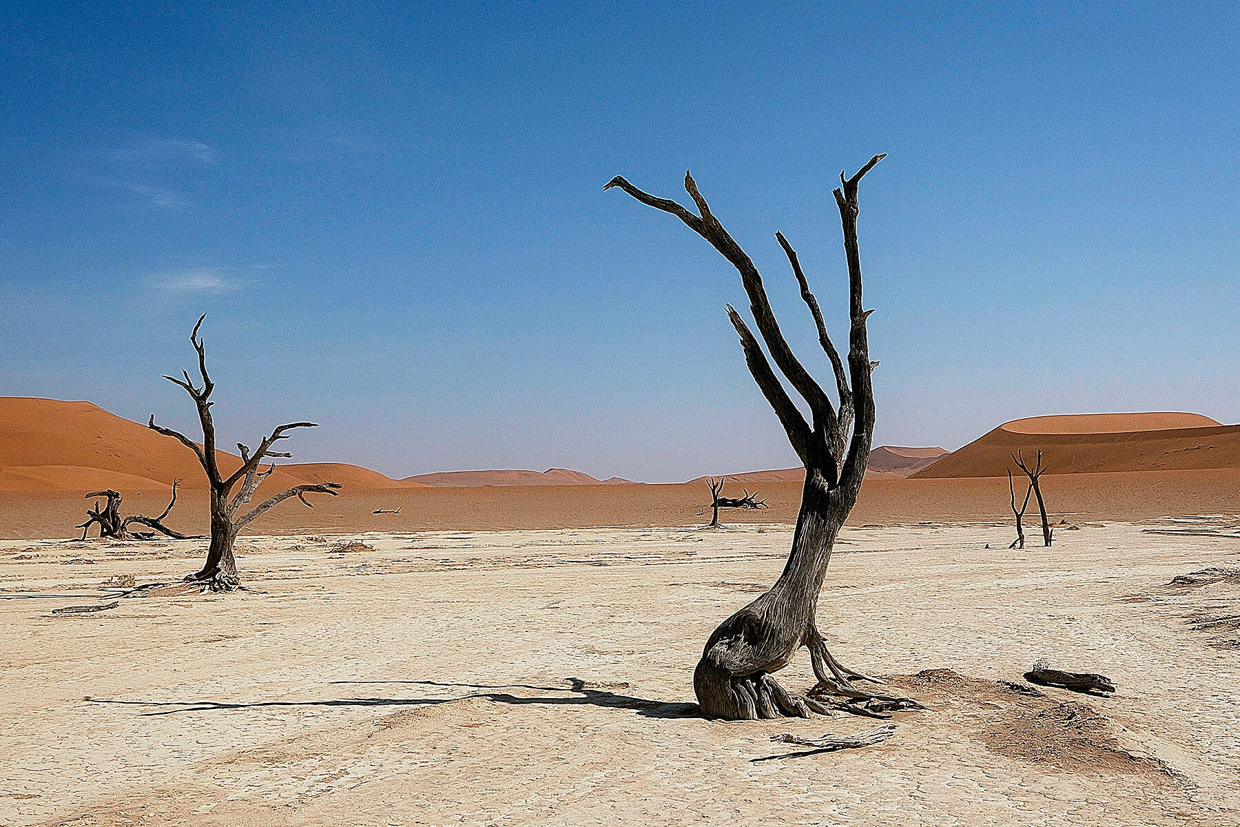 Deadvlei Namibia